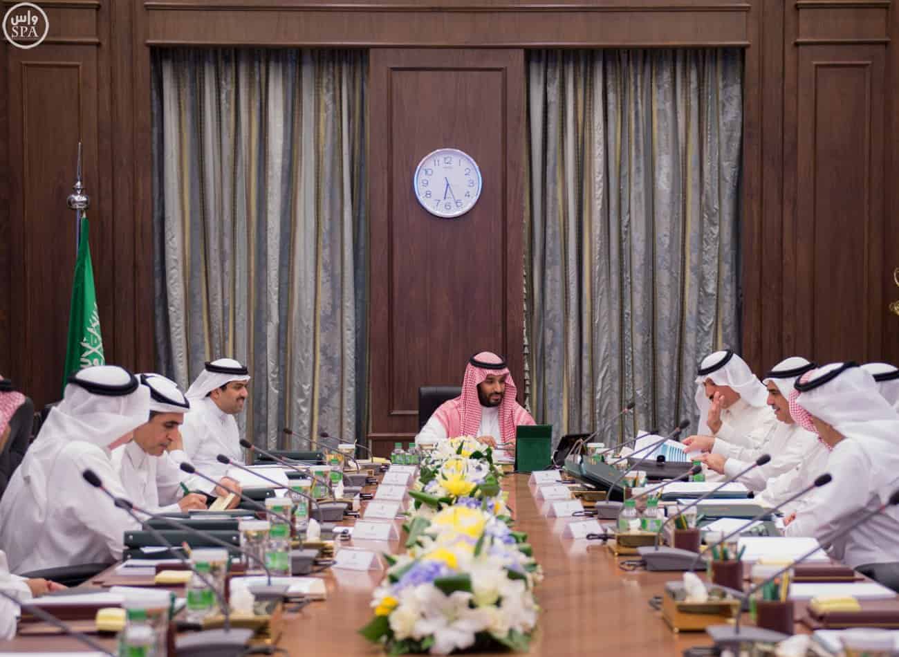 Council of Economic Affairs and Development briefed on the visions of the National Commission for Wildlife and the General Organization for Grain Silos