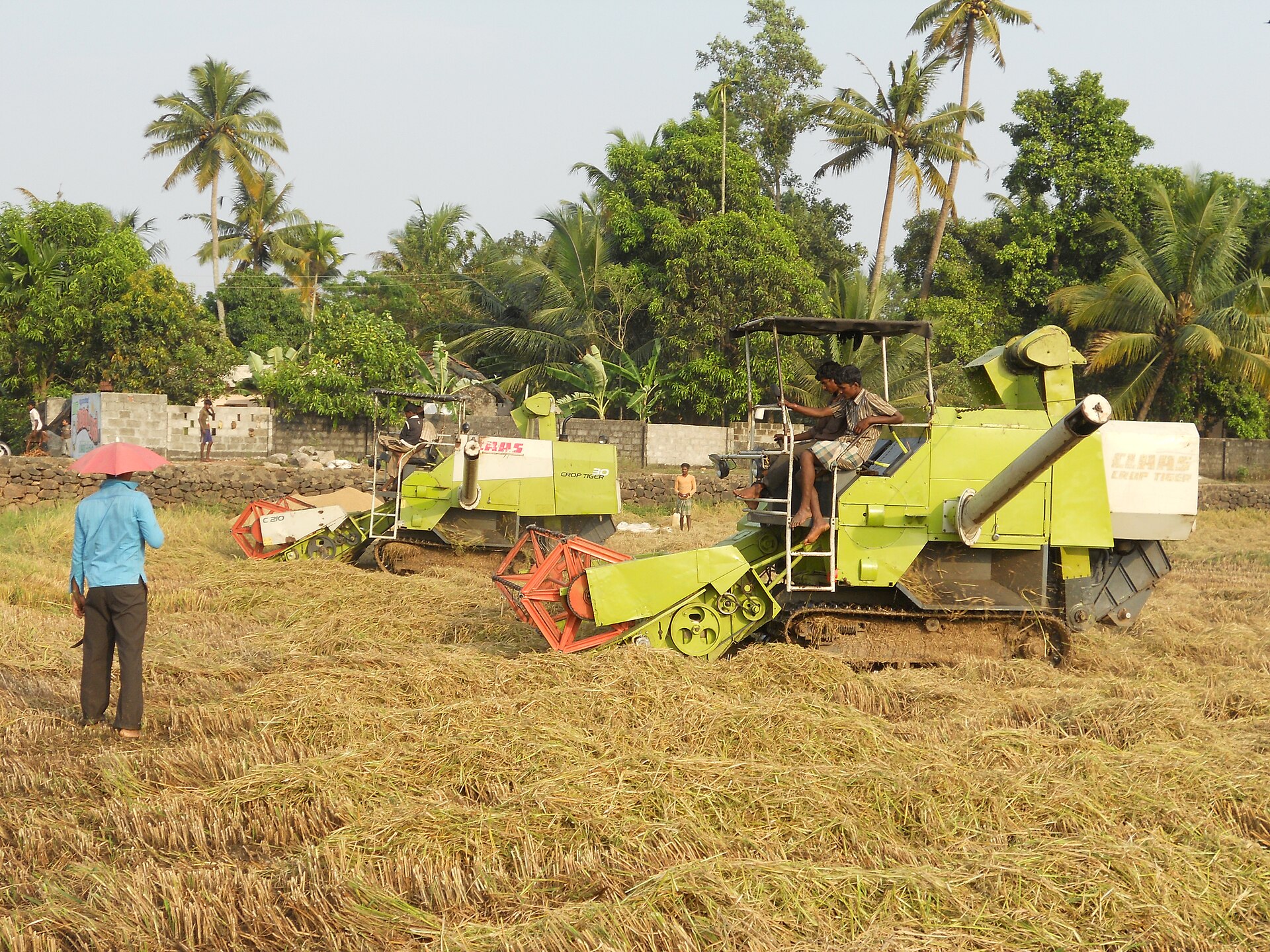 Grain harvesting machines work during a rice harvest, illustrating the agricultural supply chains that Saudi Arabia PIF subsidiary SALIC is acquiring globally to secure food supplies during the Iran war.