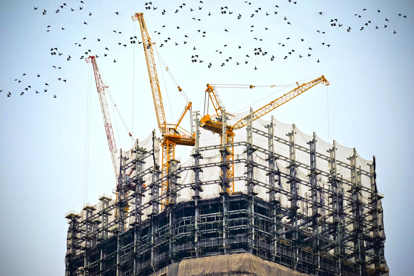 A high-rise building under construction with multiple cranes and birds circling overhead, representing Gulf megaproject development