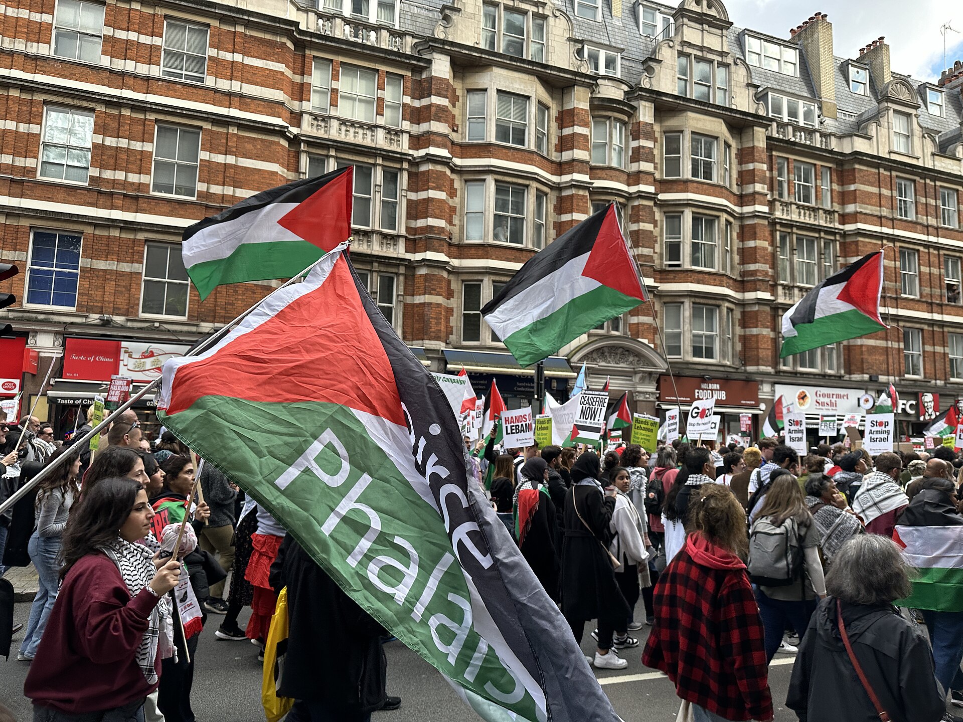 Pro-Palestinian demonstrators wave Palestinian flags at a solidarity rally. Photo: Wikimedia Commons / CC BY 2.0