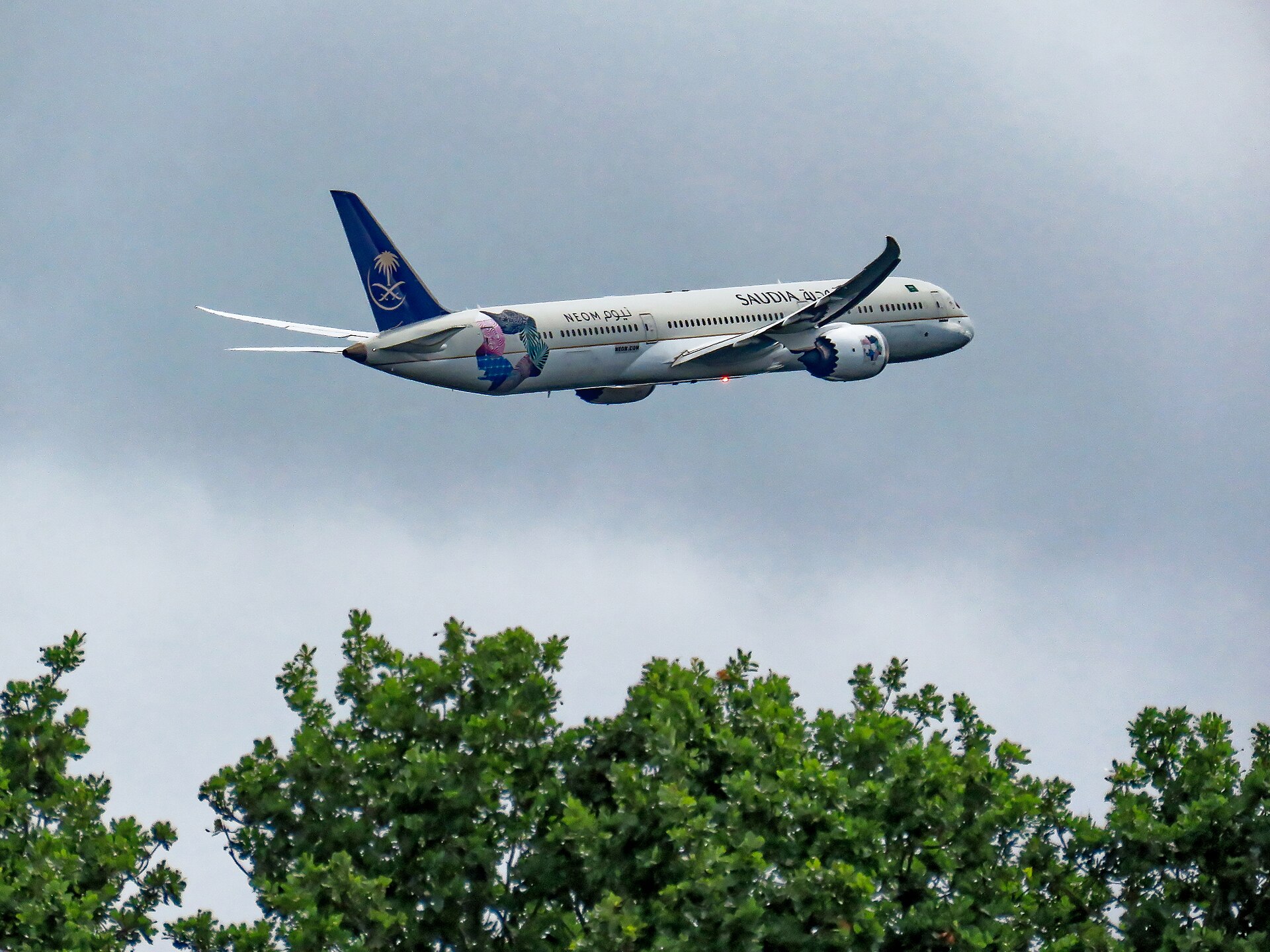 Saudia Boeing 787-10 Dreamliner with NEOM livery in flight over London, representing Saudi aviation connectivity now severed by the Iran war