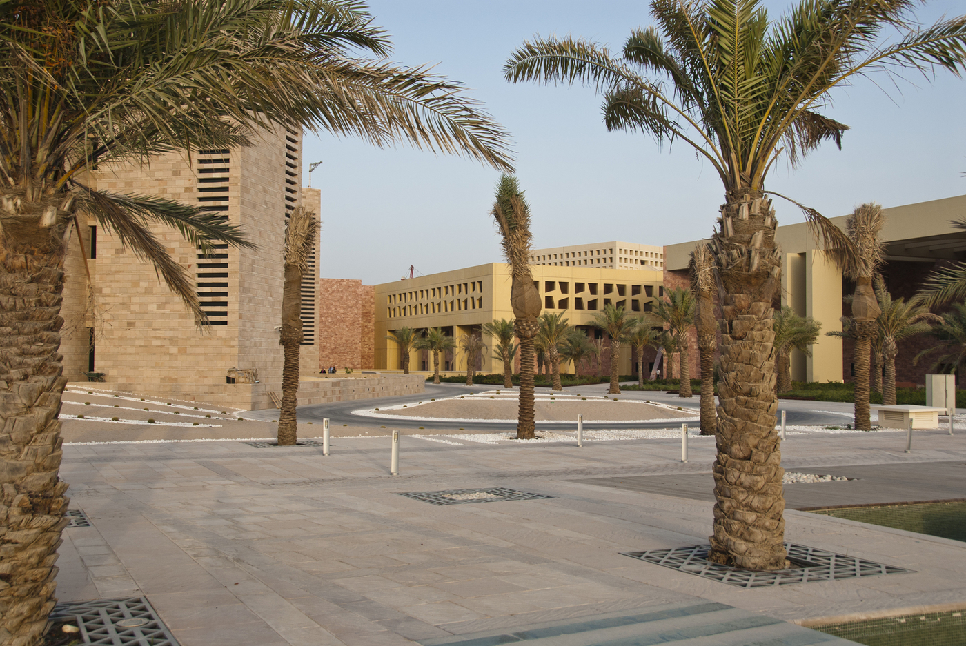 Texas A&M University at Qatar campus building in Education City with palm tree-lined courtyard and distinctive Middle Eastern sandstone architecture