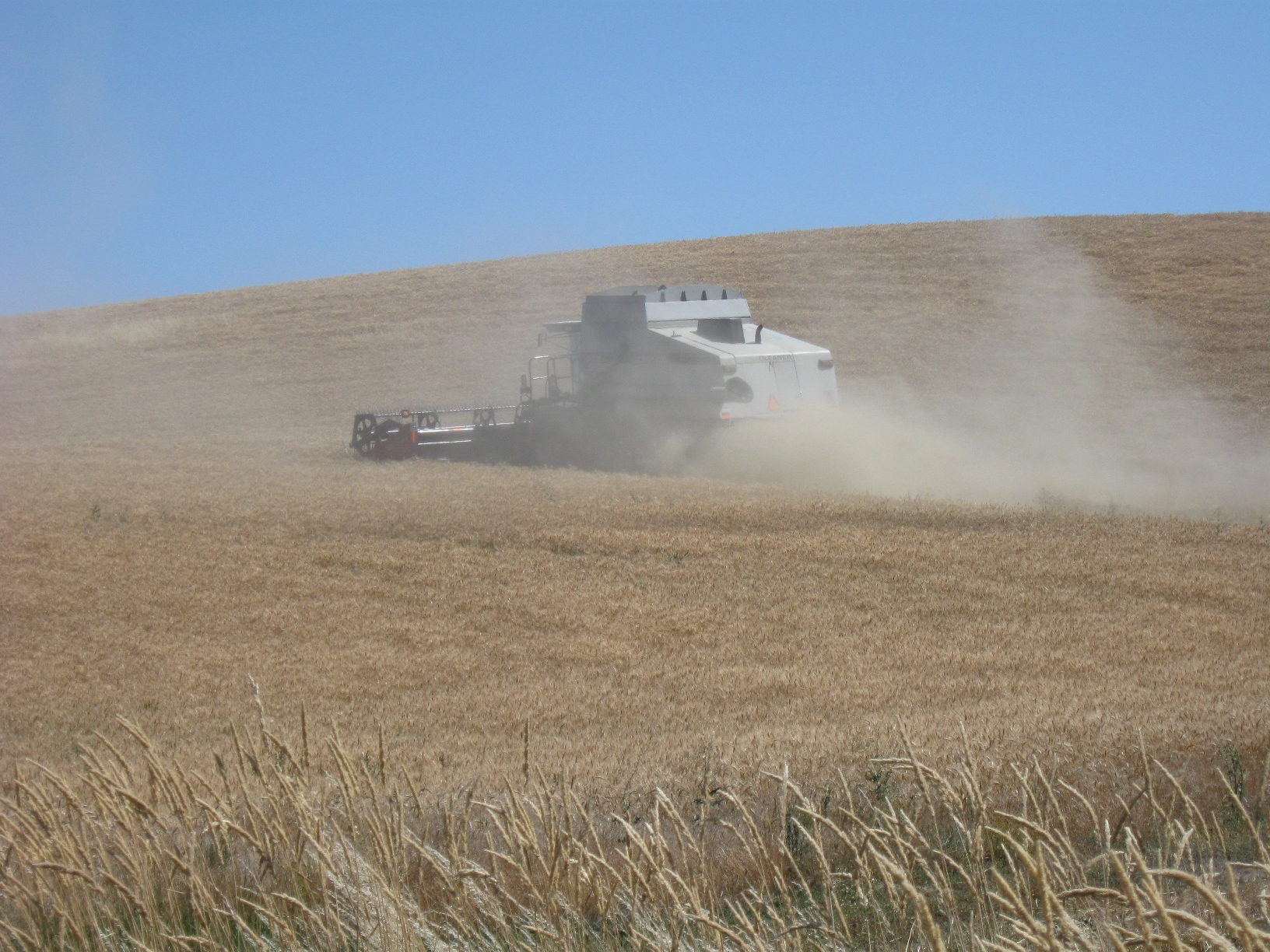 A combine harvester working in golden wheat fields in the Palouse region, representing the global food security crisis as fertilizer supplies are cut off by the Hormuz blockade