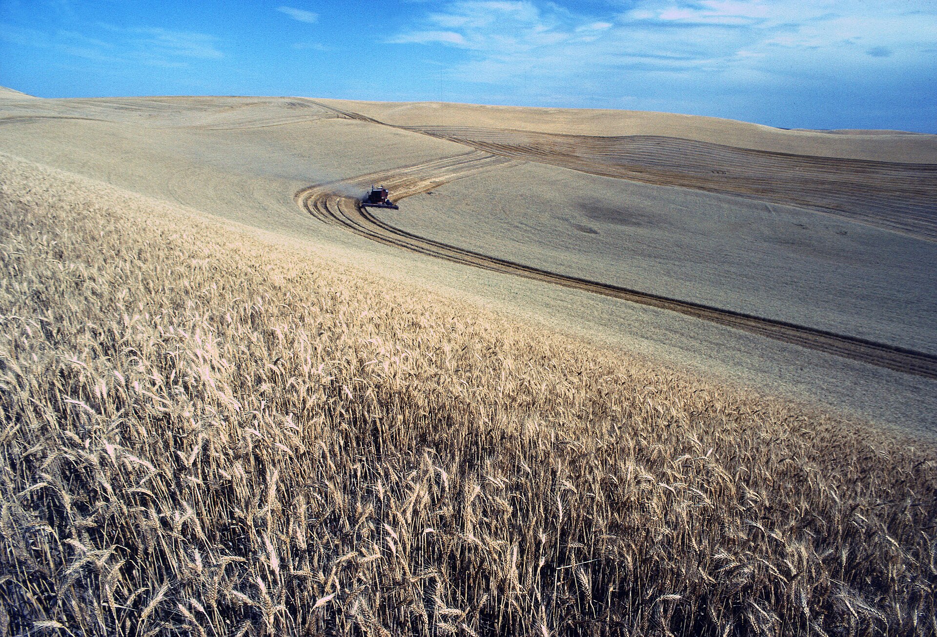 Golden wheat fields being harvested on rolling hills with a combine harvester, representing the global grain supply threatened by the 2026 Iran war and Strait of Hormuz closure