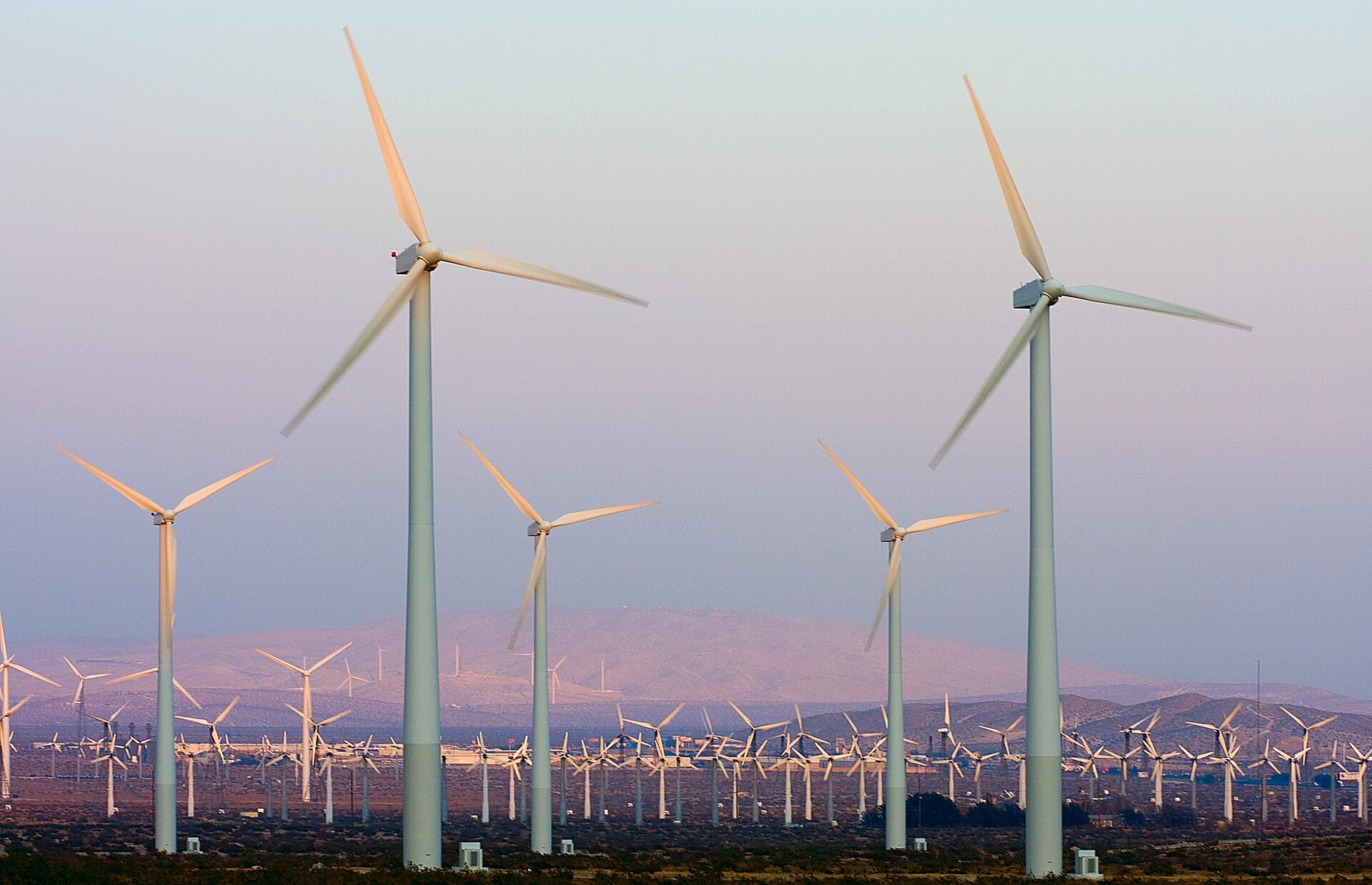 Wind turbines at a large wind farm installation, representing the renewable energy capacity that advocates argue should reduce dependence on Gulf oil. Photo: Wikimedia Commons / CC BY 2.0