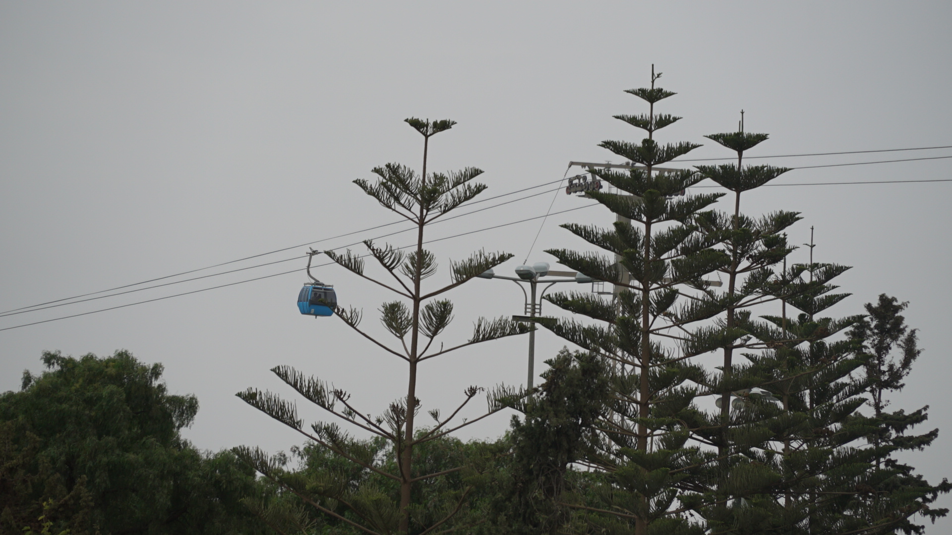 Blue cable car gondola crossing above treetops in Abha, Saudi Arabia