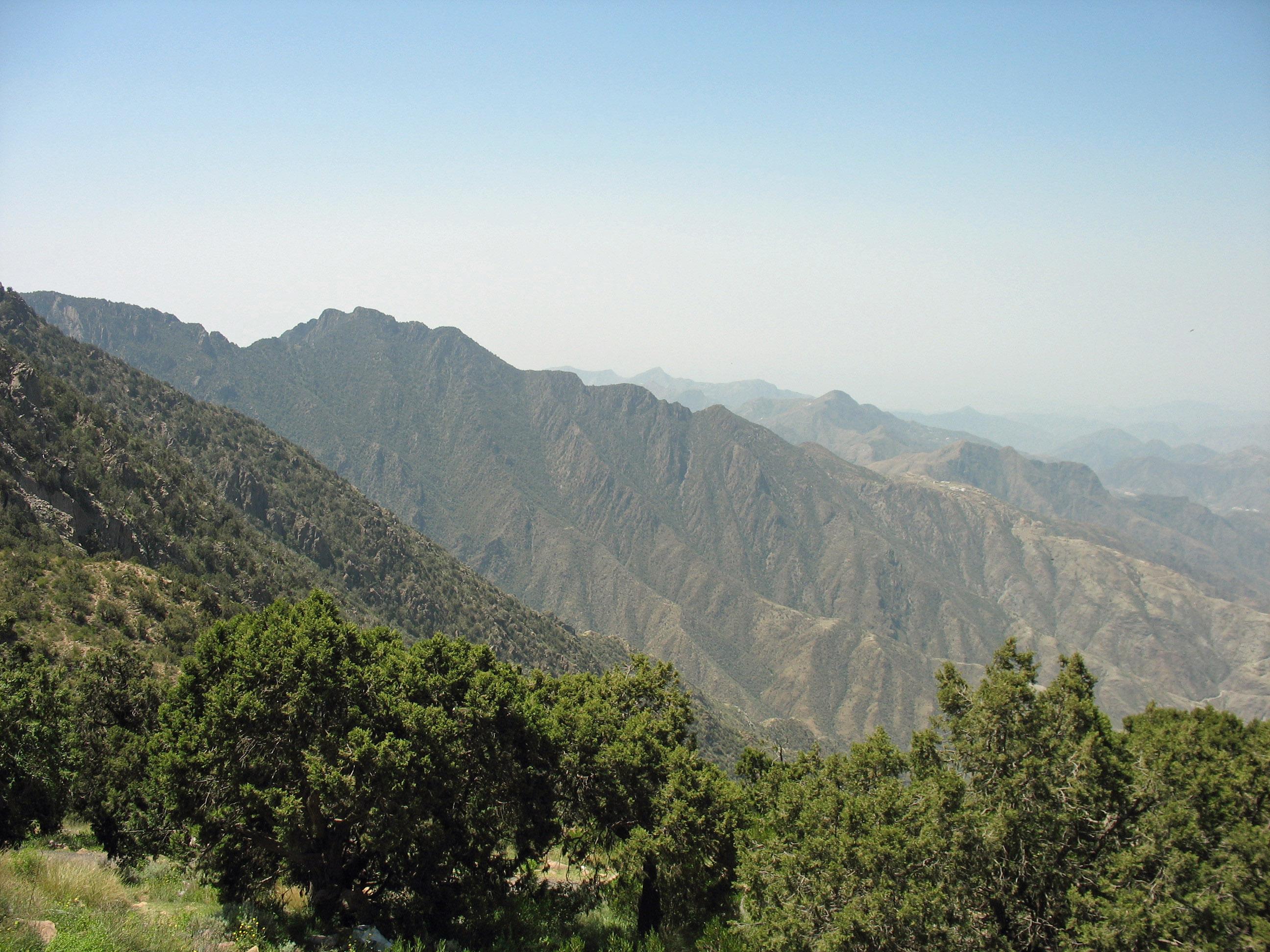 Panoramic view from Al Sawda peak showing juniper-forested Sarawat Mountain ridges near Abha