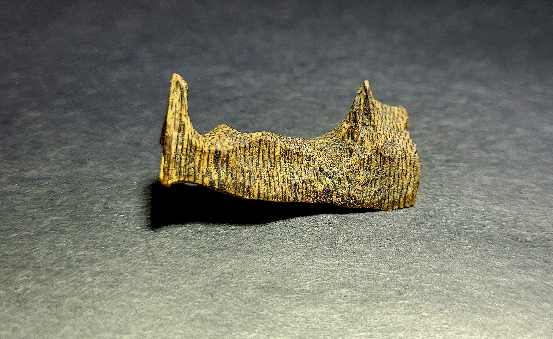 A piece of black kinam agarwood, one of the rarest and most valuable grades of oud