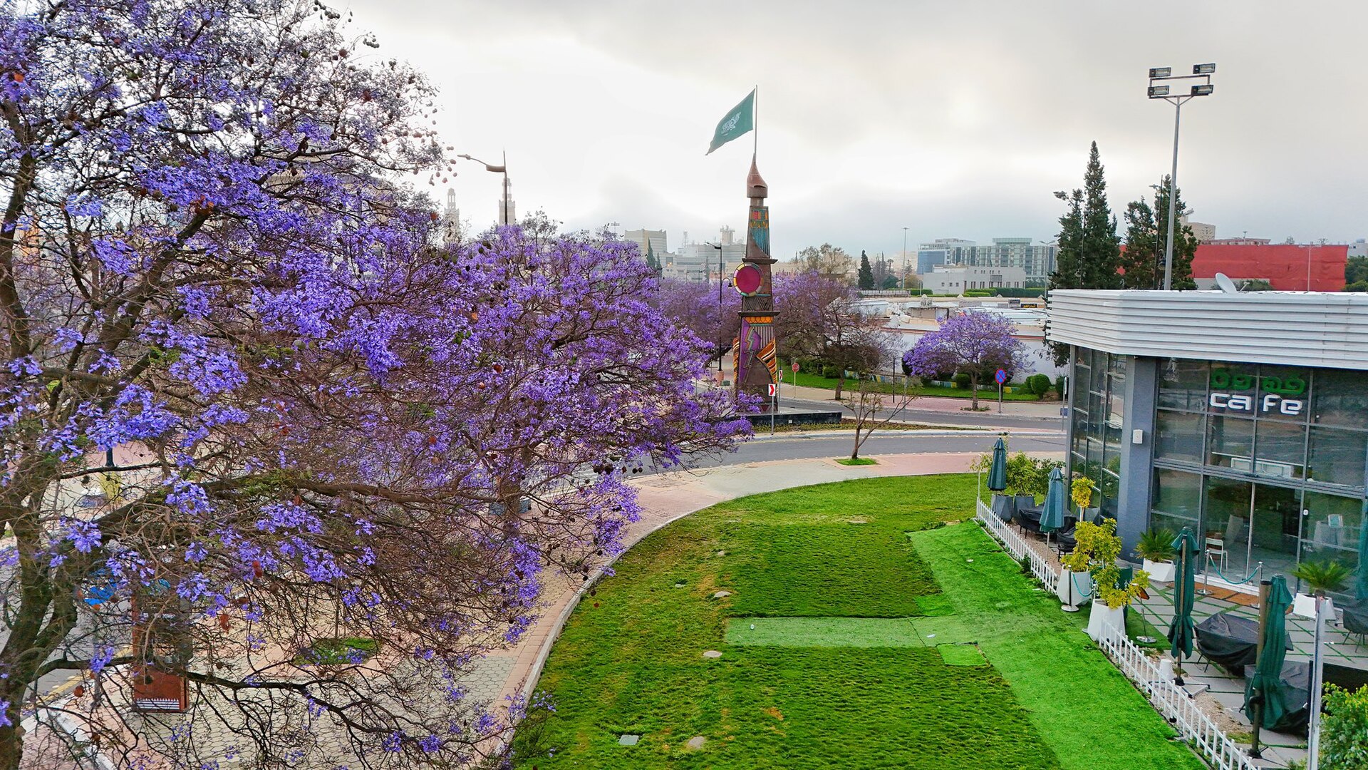 Art Street in Abha lined with purple jacaranda trees in the highland Asir region
