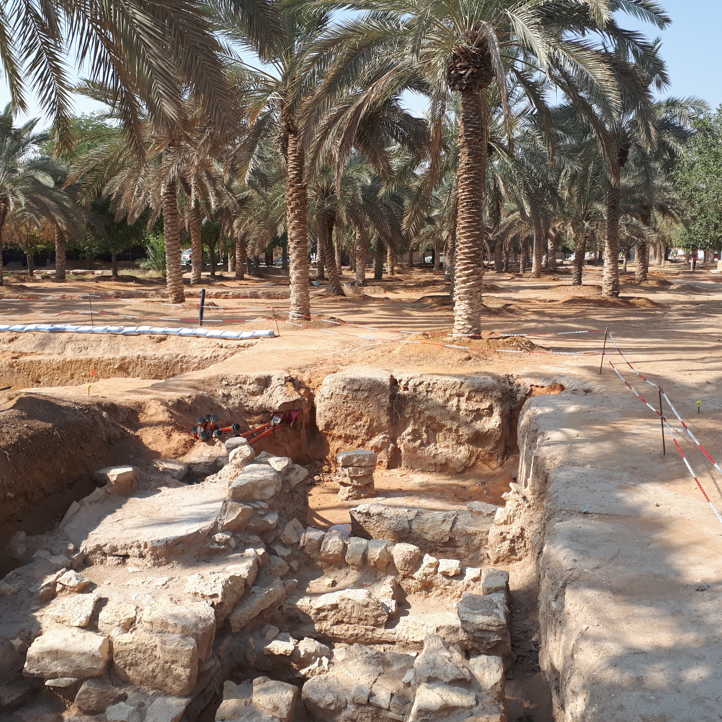 Archaeological excavation site in Diriyah with palm trees and historic ruins