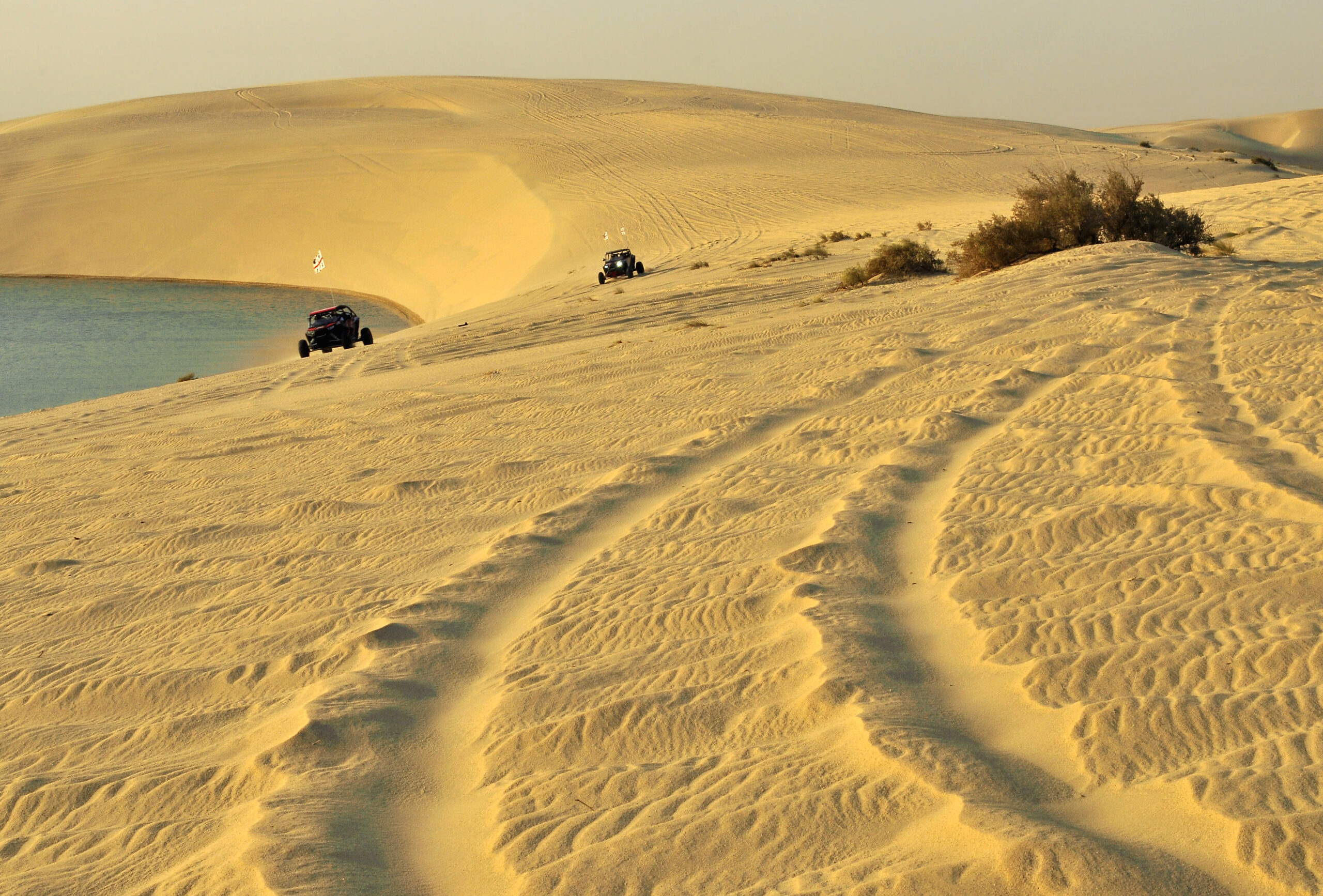 4x4 vehicles with tyre tracks across golden Arabian sand dunes
