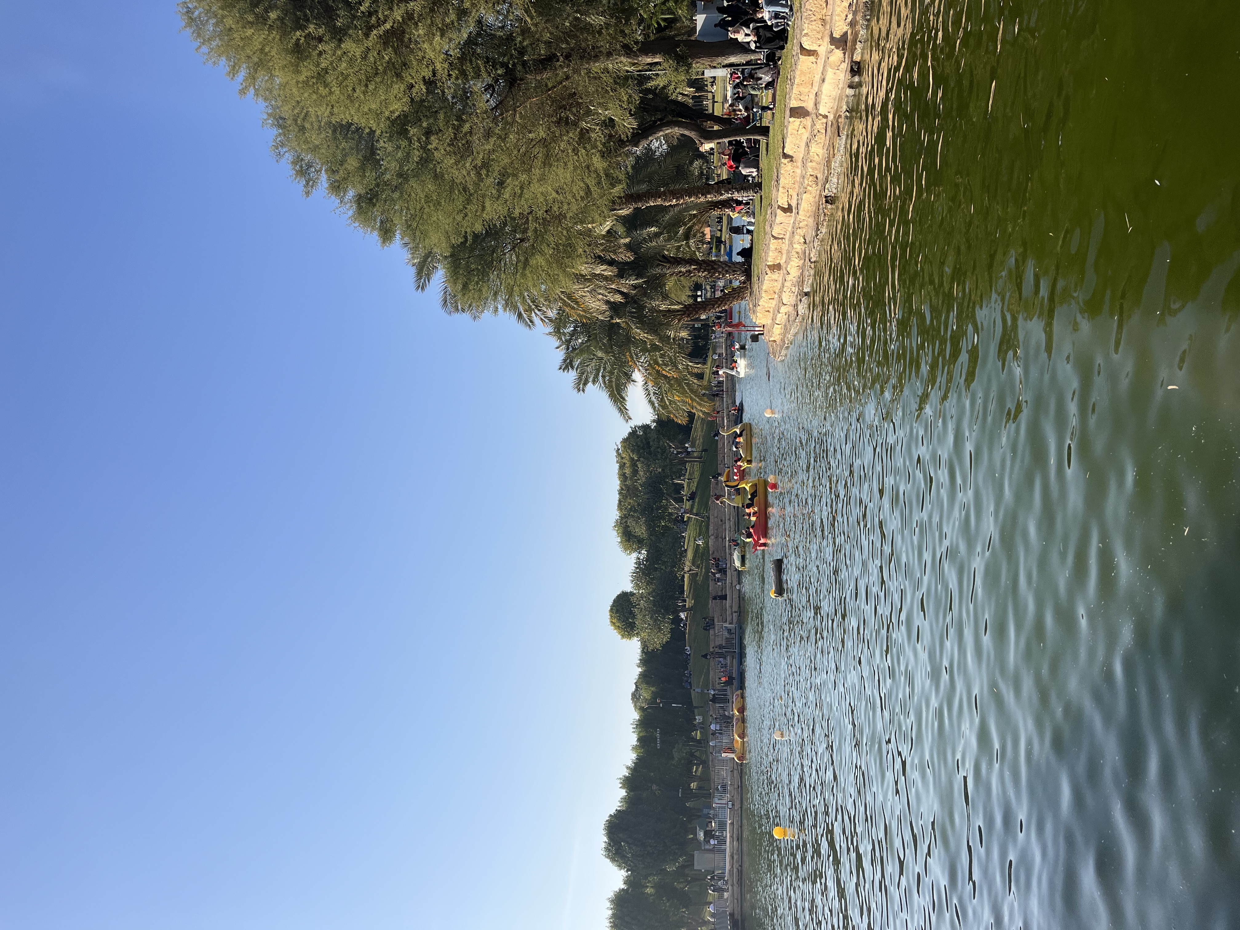 Families enjoying a day out at Salam Park in Riyadh with trees and the lake visible