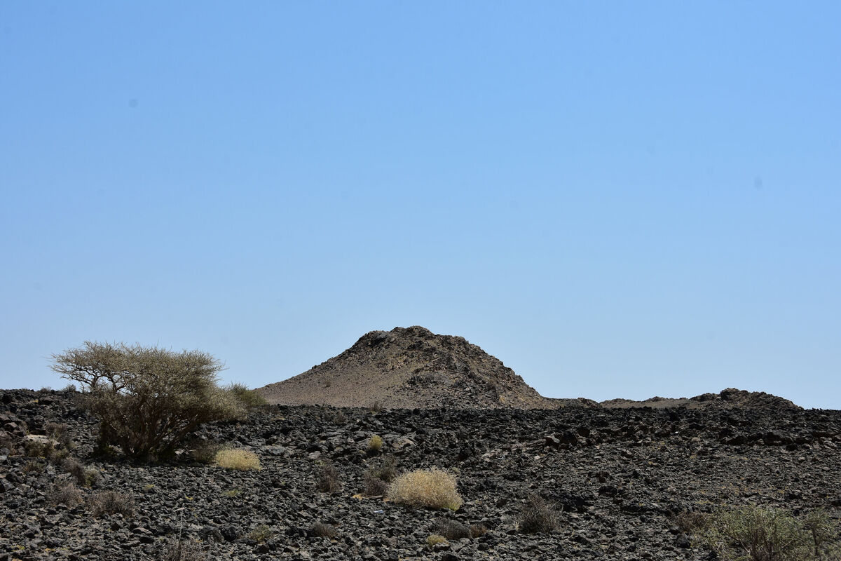 Ground-level view of volcanic harrat landscape in western Saudi Arabia showing dark basalt terrain