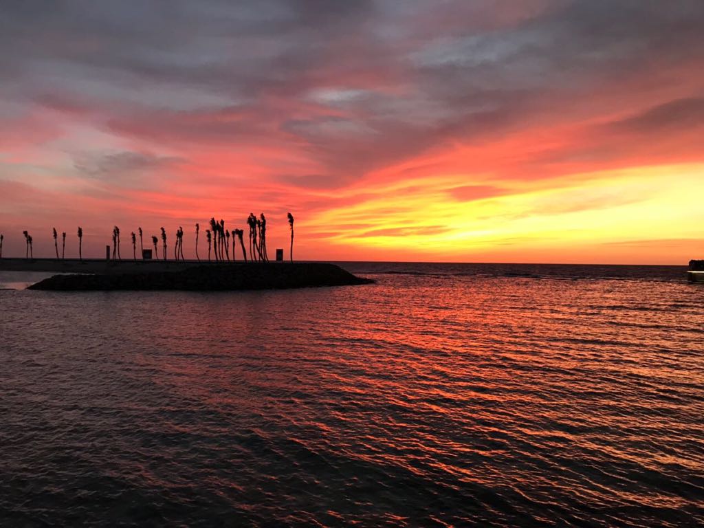 Best Family Resorts in Saudi Arabia - House of Saud