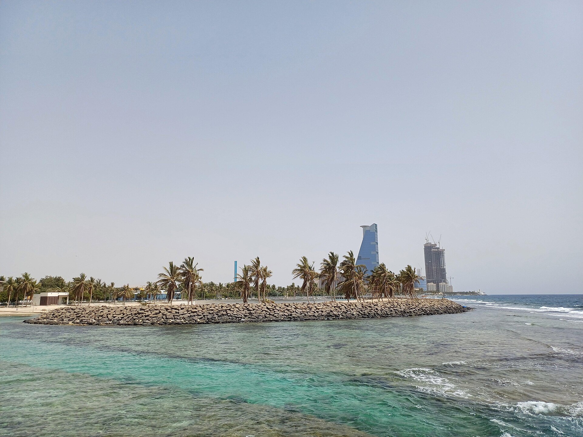 Jeddah Red Sea waterfront with palm trees and modern skyline in the background