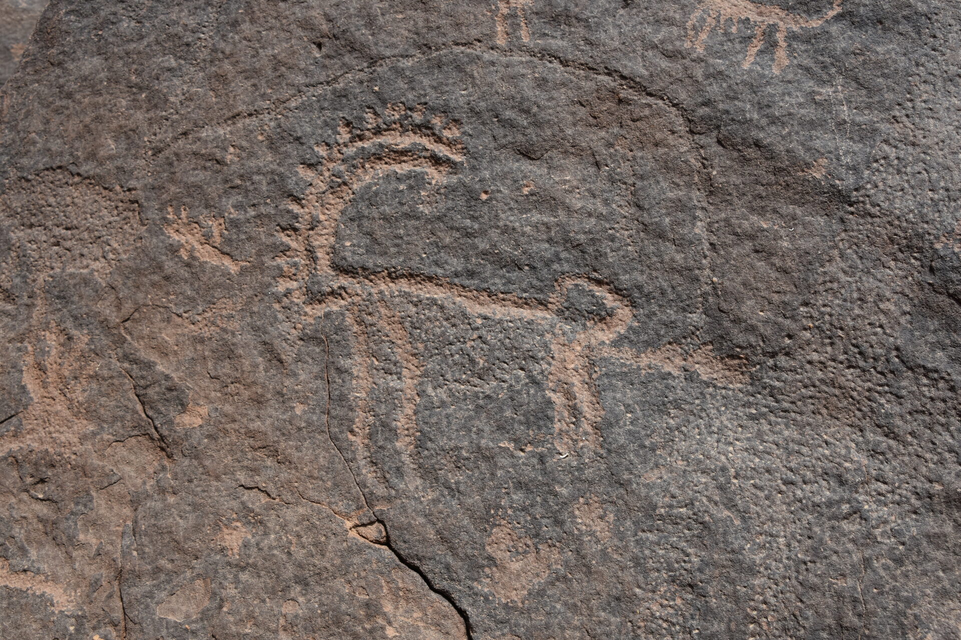 Ibex petroglyph carved into dark stone at Jubbah rock art site in Saudi Arabia