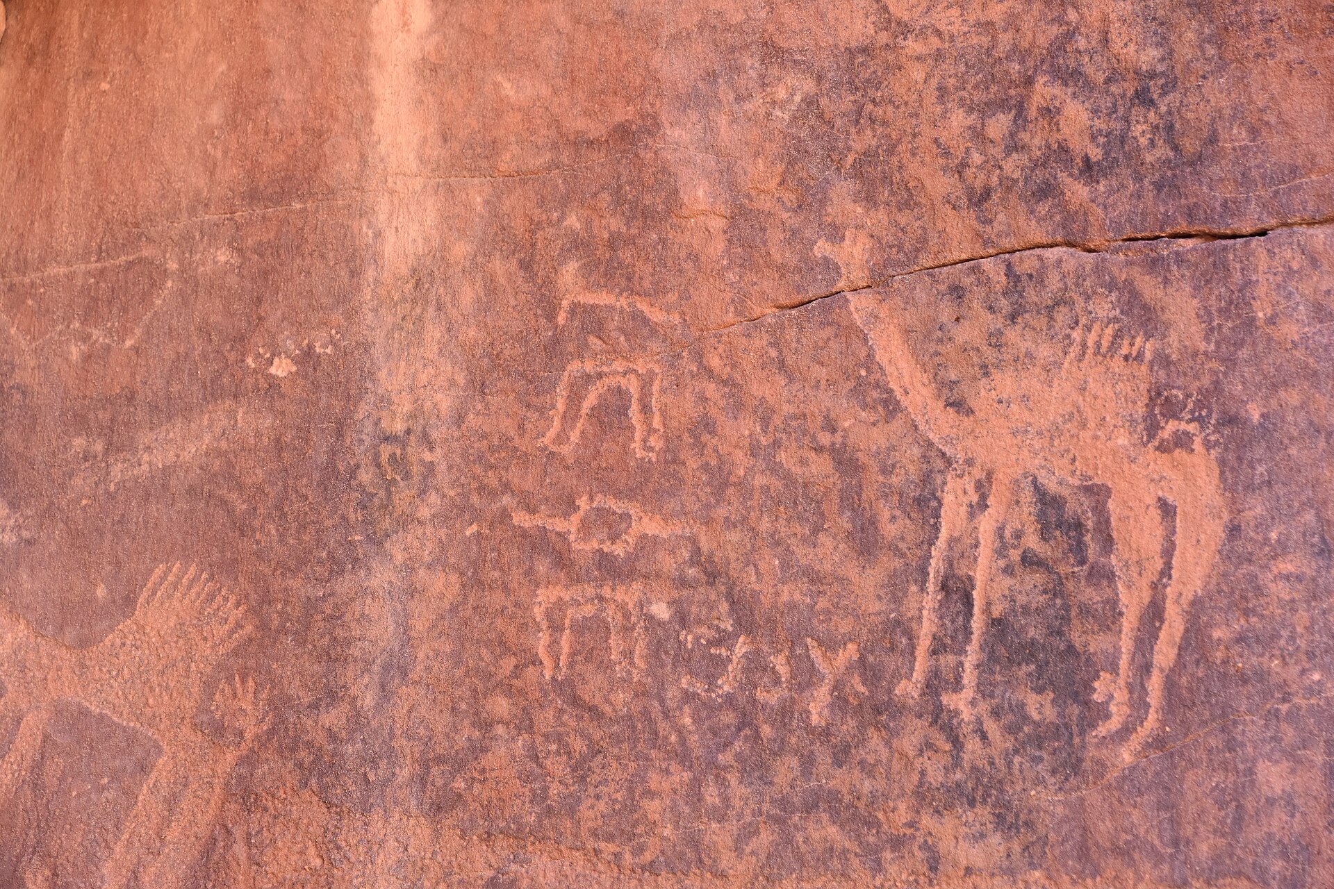 Ancient petroglyphs at Jubbah showing camels and human figures carved into red sandstone