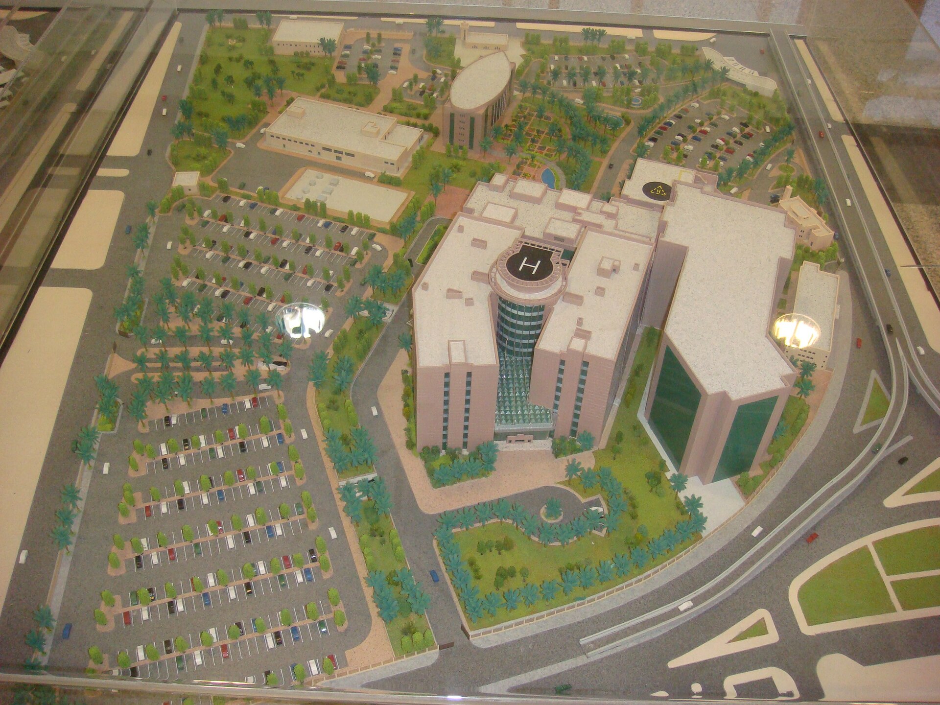 King Saud Medical Complex in Riyadh, a major government hospital
