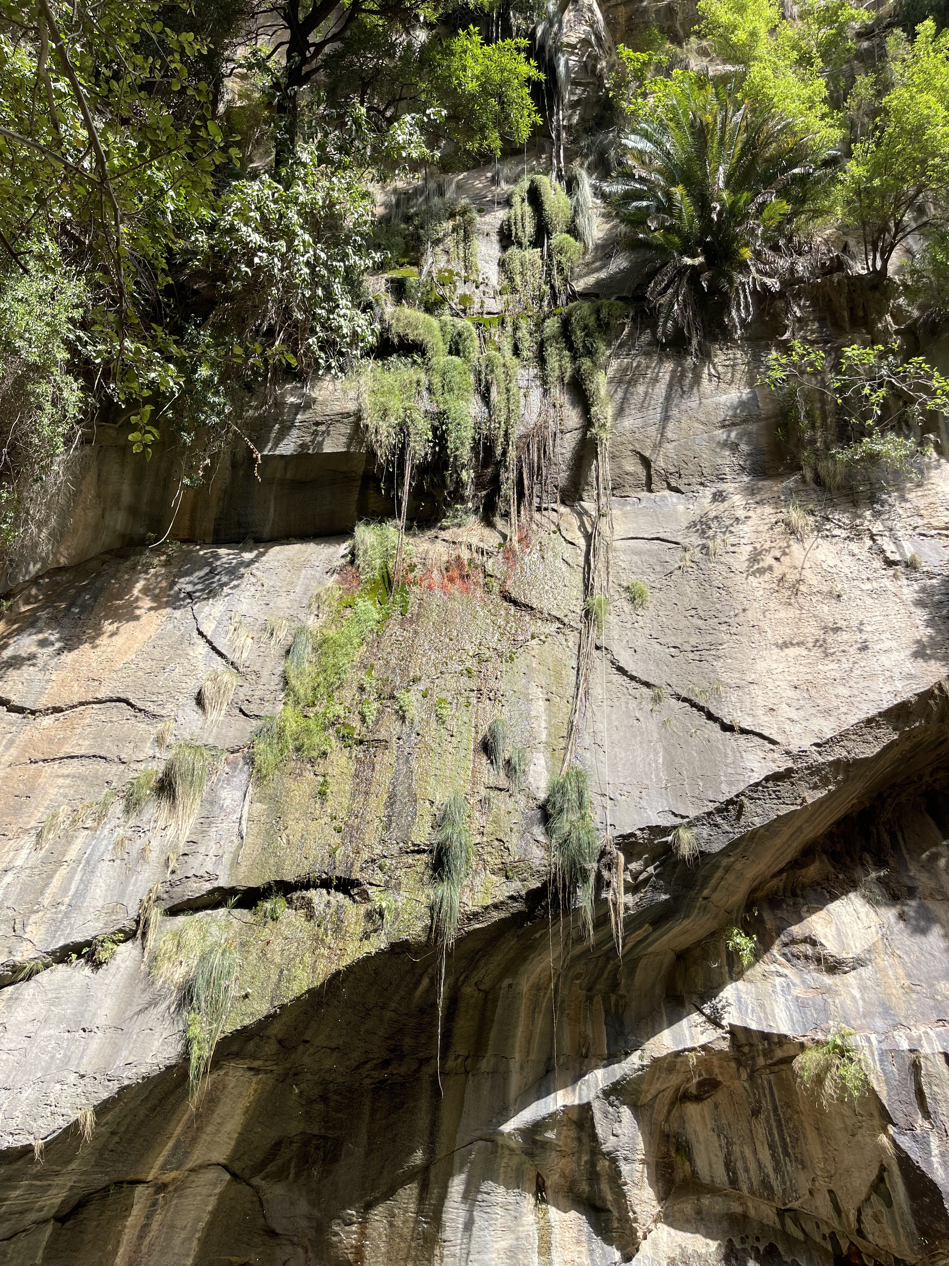 Canyon descent in Wadi Lajab Jizan Province Saudi Arabia