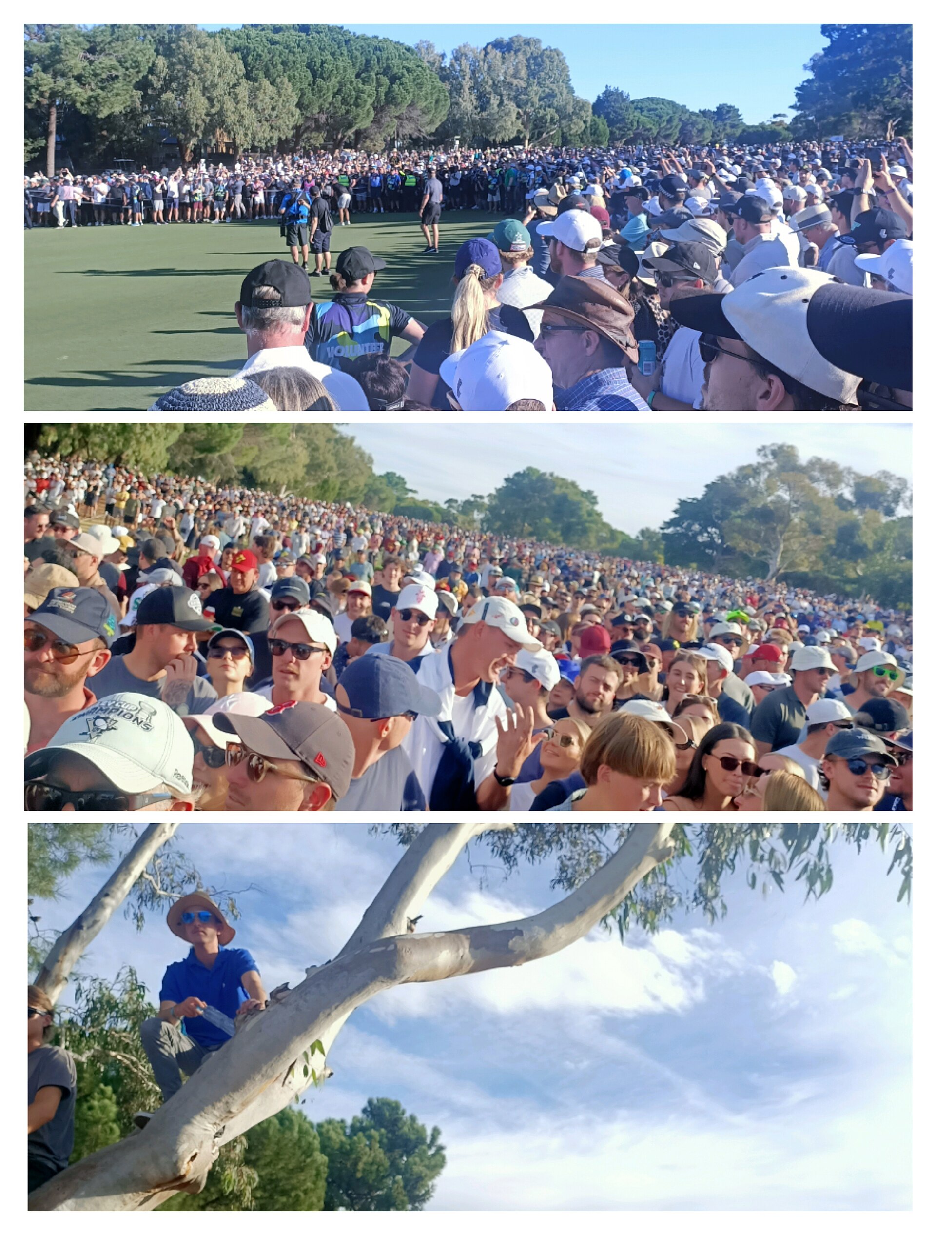LIV Golf Adelaide tournament patrons at Grange Golf Club, 2023