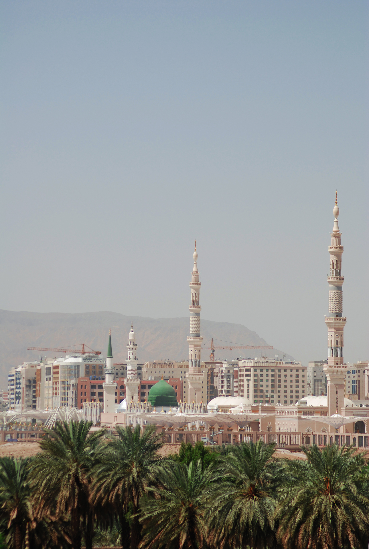 Al-Masjid an-Nabawi, the Prophet's Mosque in Medina, Saudi Arabia, with green dome and minarets seen through date palms
