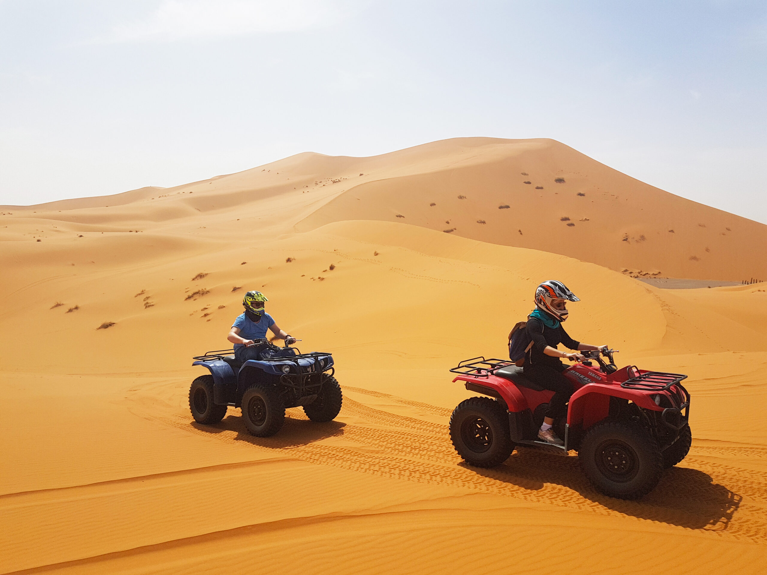 Two riders on quad bikes crossing a golden sand dune in the desert