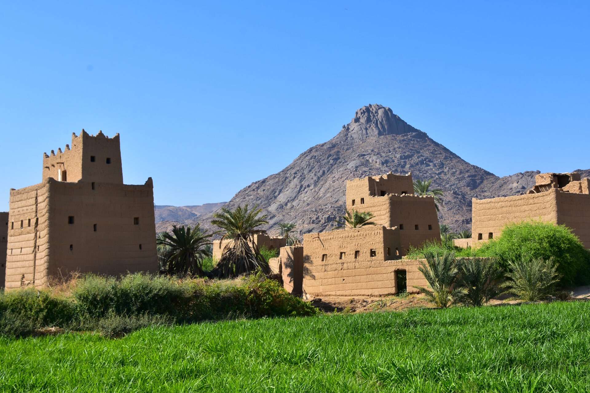 Traditional multi-storey mud tower houses in Najran surrounded by palm trees and green fields with a dramatic mountain peak behind