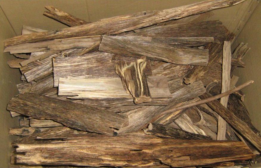 First-grade agarwood chips showing the dark resin deposits that produce oud fragrance