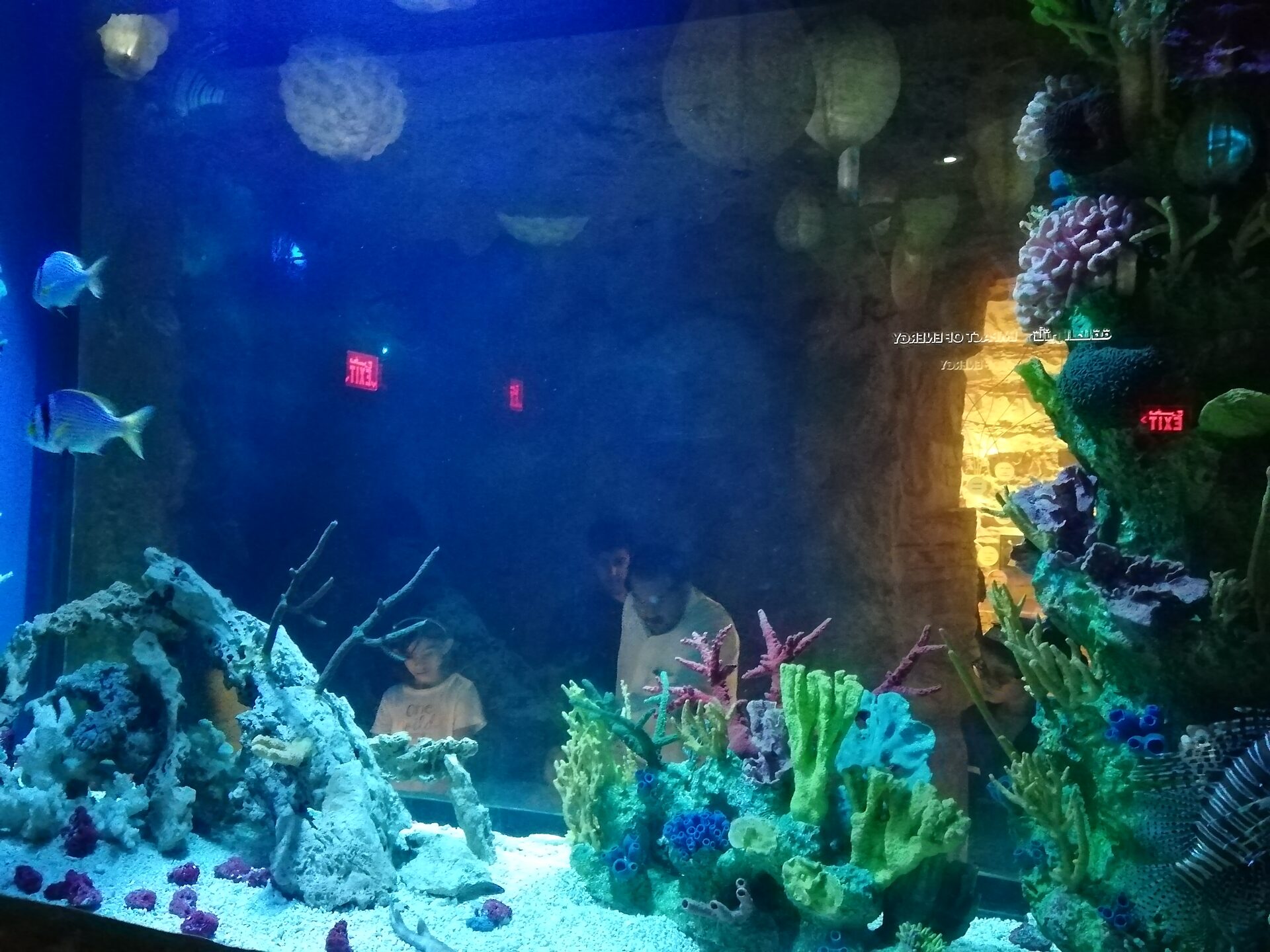 Interactive exhibits inside the Ithra Children Museum in Dhahran
