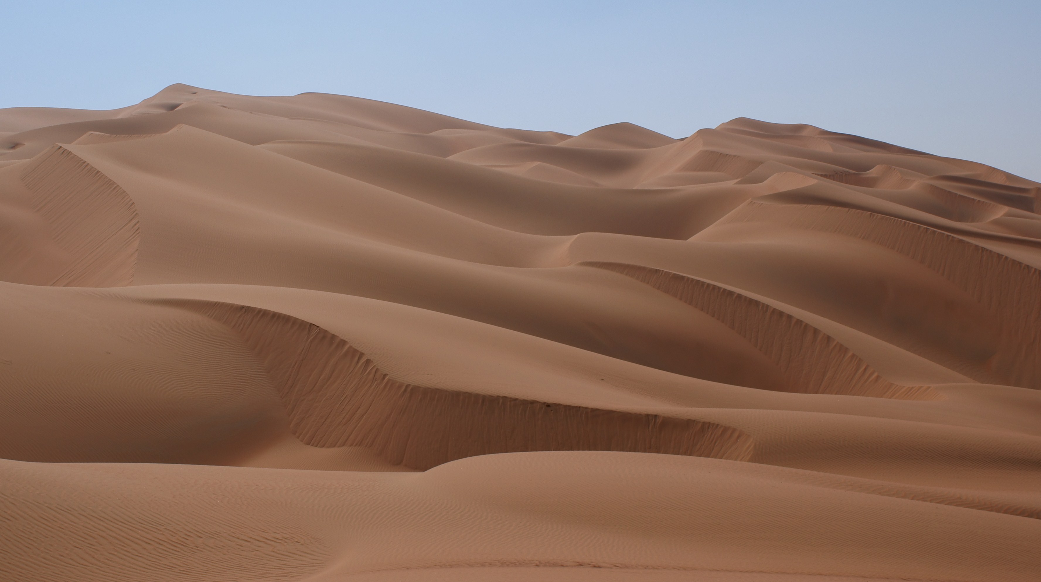 Rolling sand dunes of the Rub al Khali (Empty Quarter), the world's largest continuous sand desert, with sharp ridgelines and smooth curves