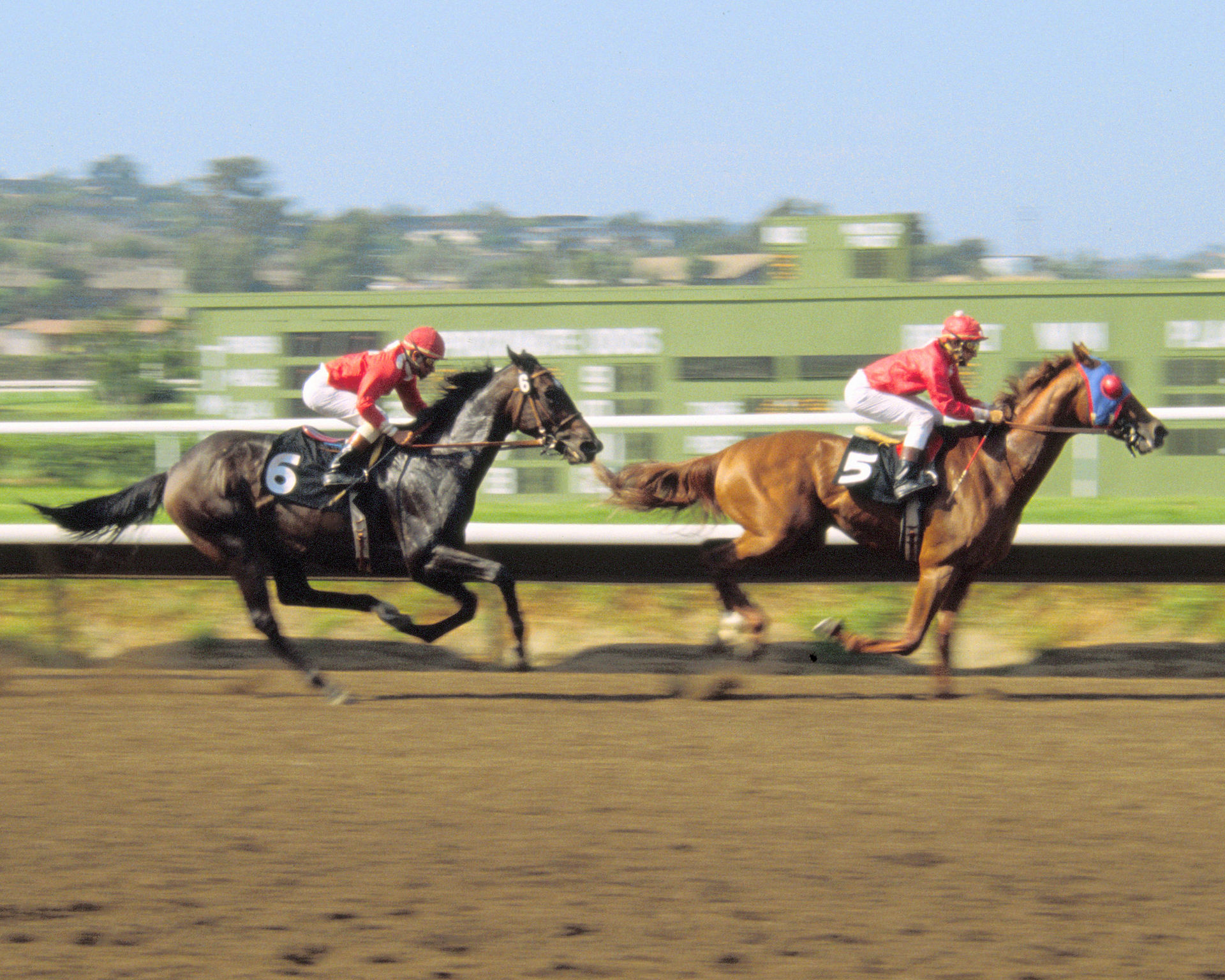 Two thoroughbred racehorses competing at full speed on a dirt track
