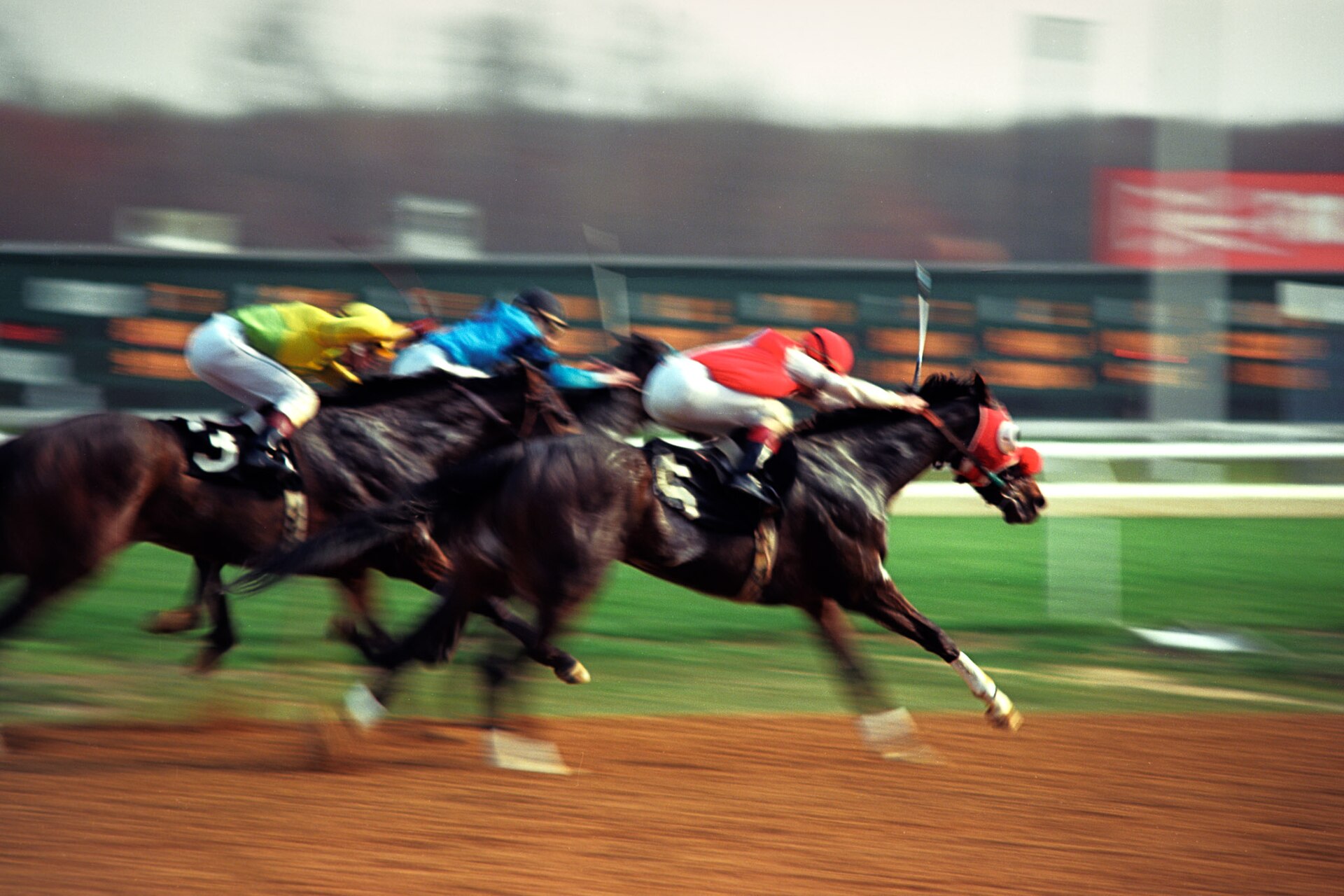 Thoroughbred horses racing towards the finish line at full gallop on a dirt track