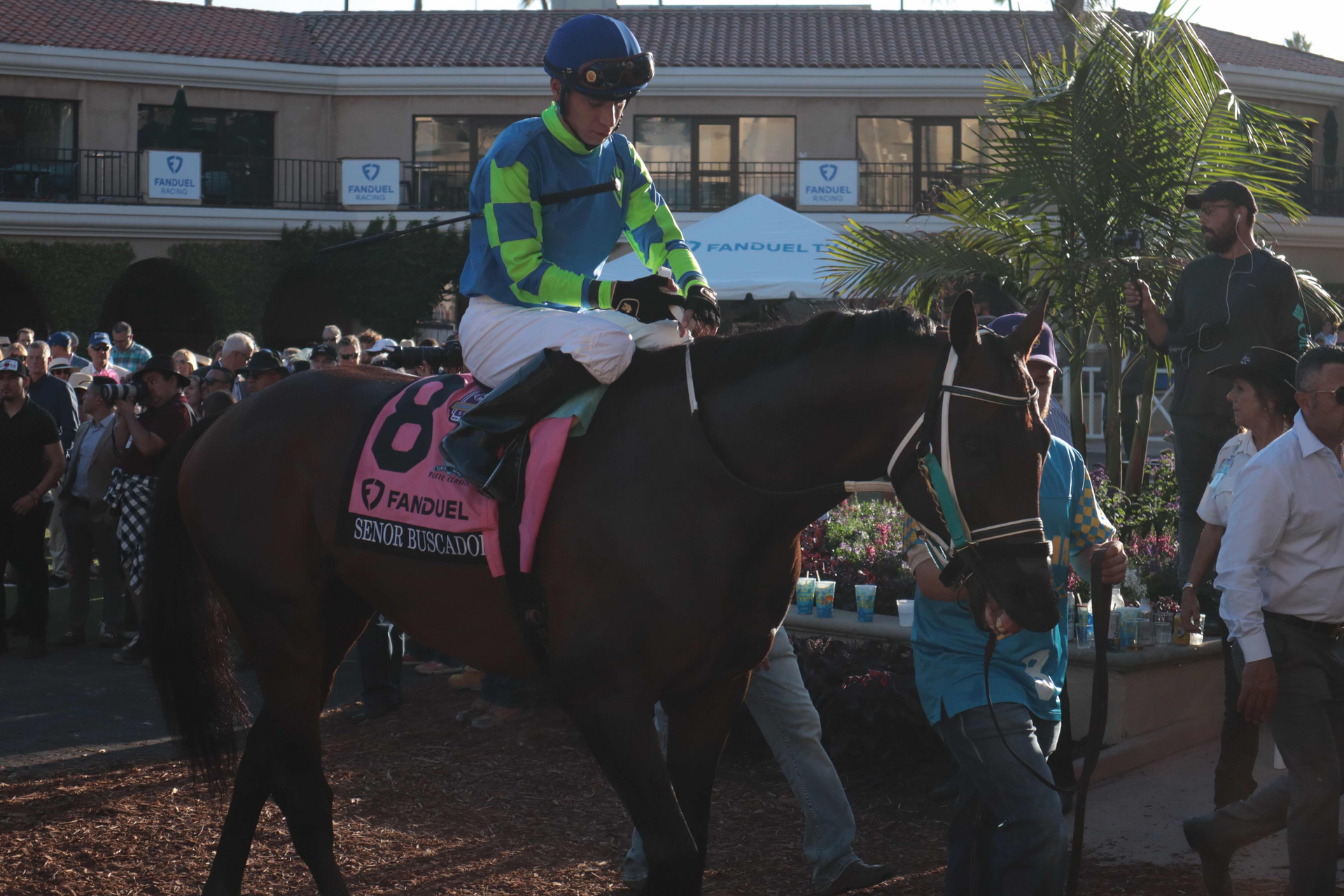 Senor Buscador, the 2024 Saudi Cup winner, being led to the track before a race