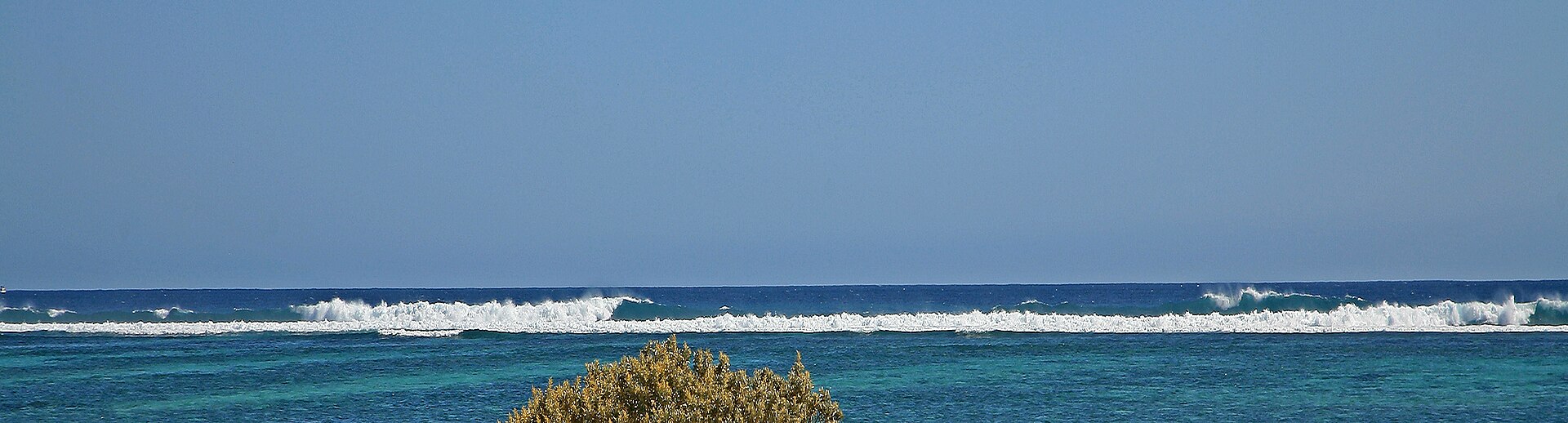 Waves breaking over a shallow coral reef