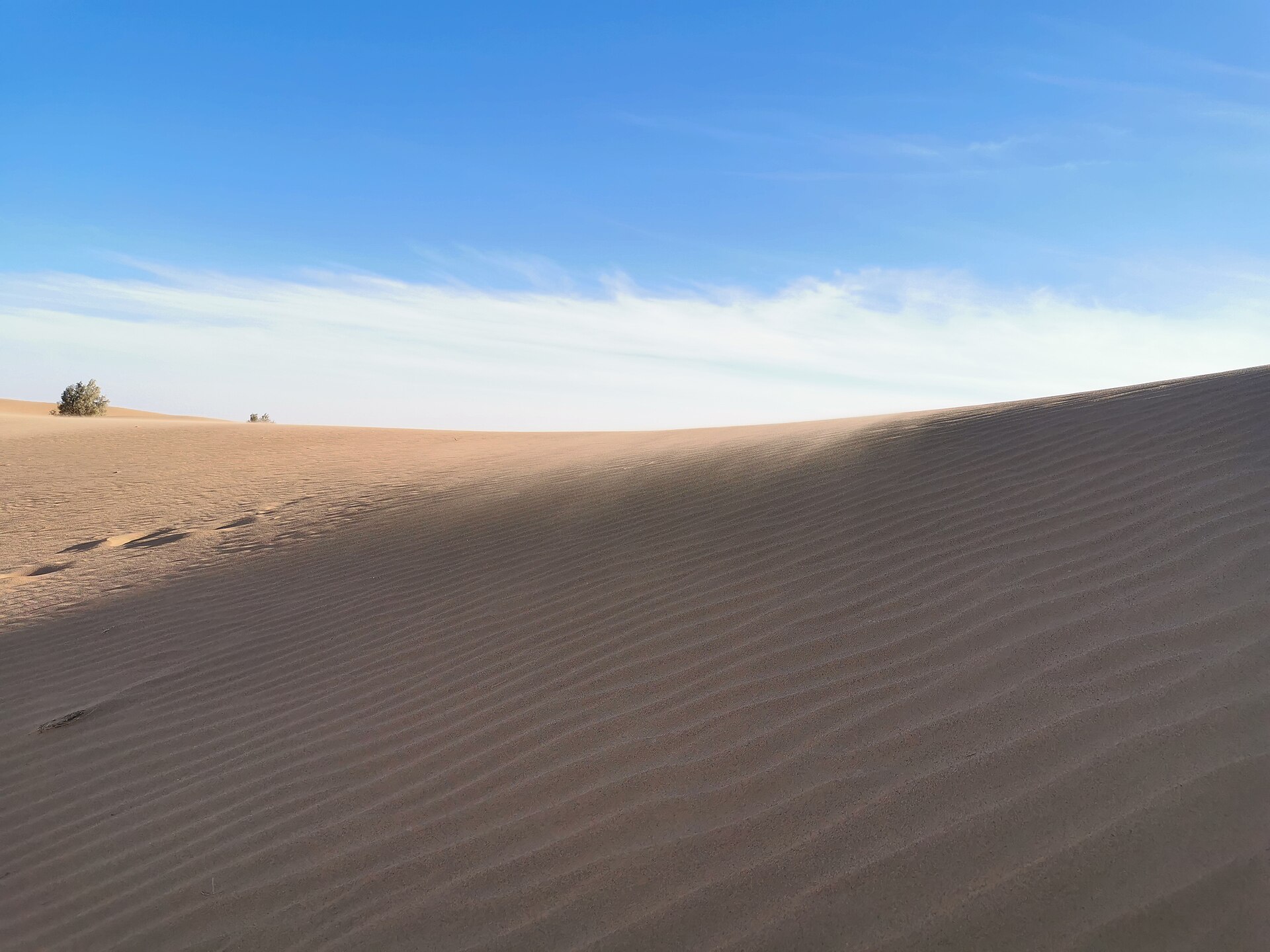 Desert sand dunes in Tabuk Province, northwestern Saudi Arabia, showing the arid terrain of the NEOM region