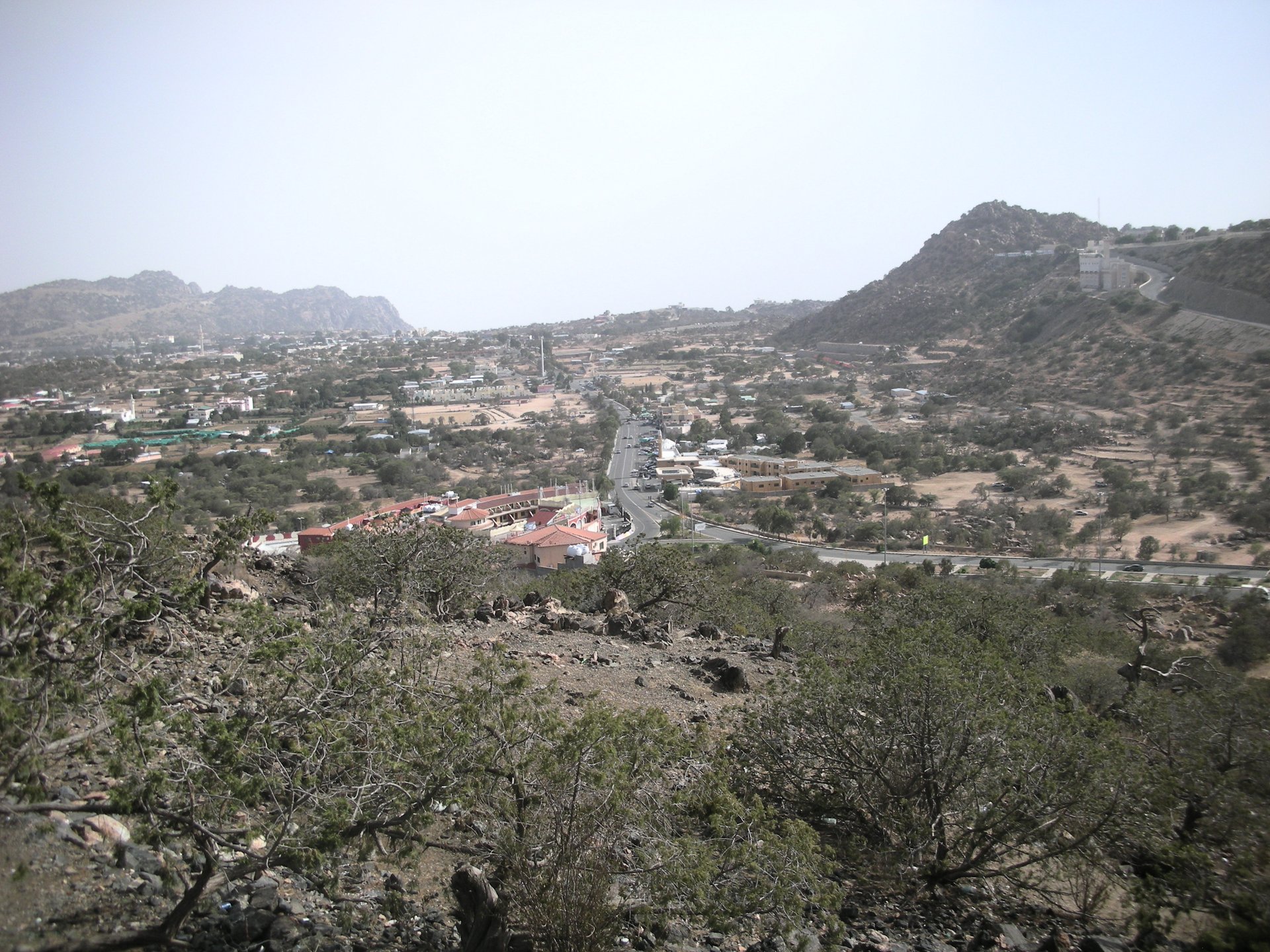 Panoramic view of Al Shafa village in the Taif mountains, surrounded by terraced farmland and natural vegetation