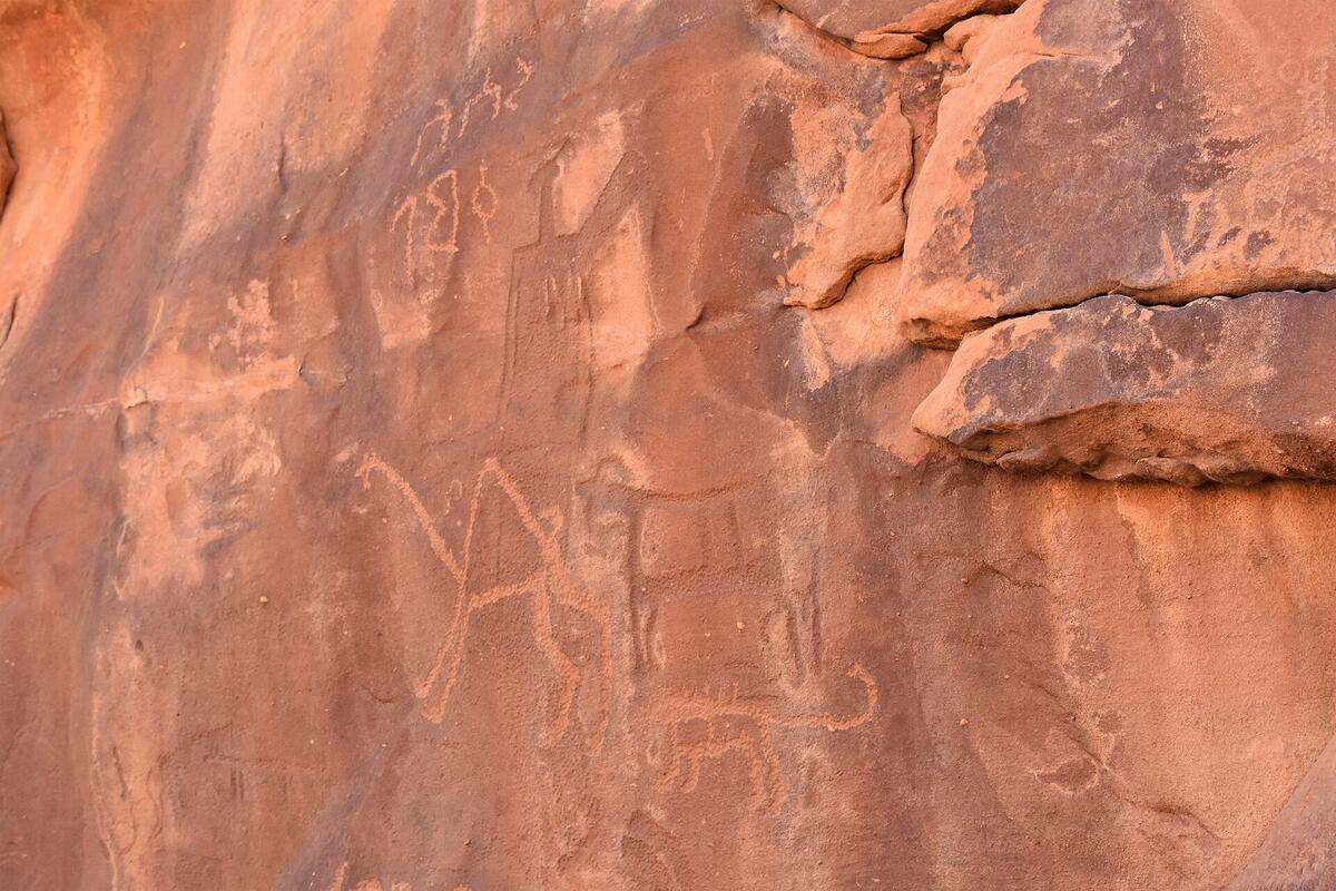 Close-up of animal and human petroglyphs carved into red sandstone at the Jubbah rock art site in Saudi Arabia