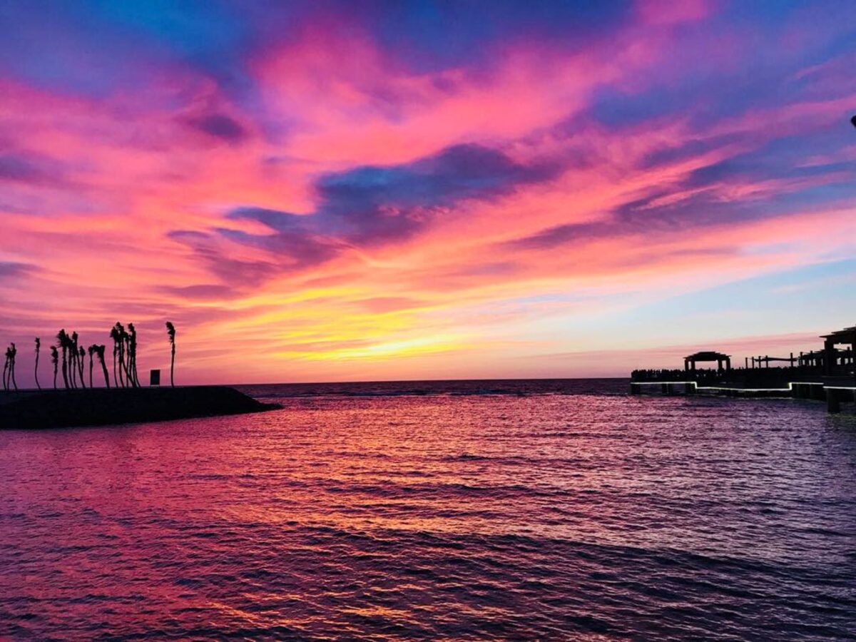 Dramatic sunset over the Jeddah waterfront with palm trees silhouetted against pink and purple skies