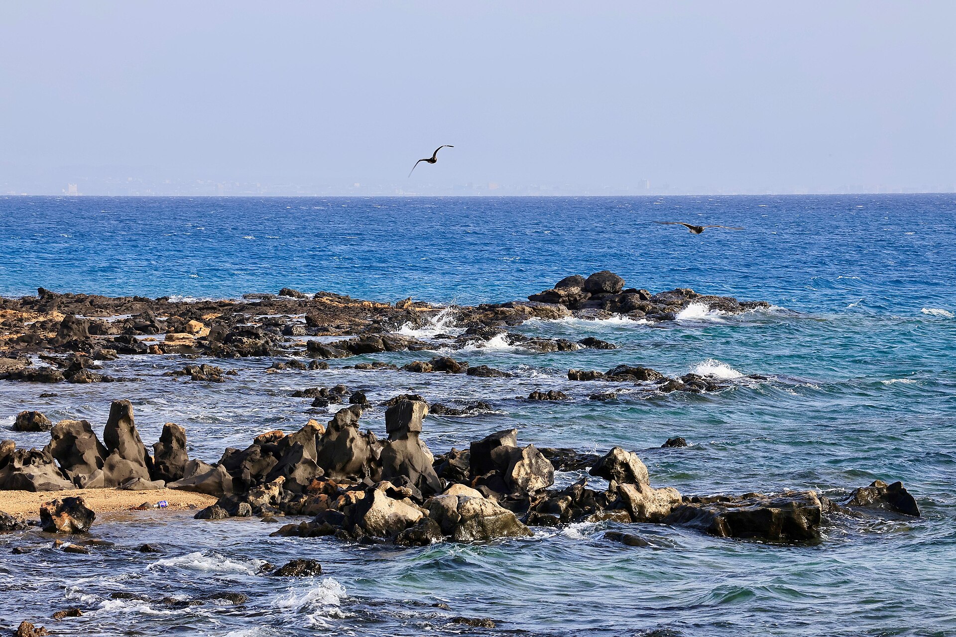 Rocky Red Sea coastline near Umluj, Saudi Arabia, with turquoise waters and a seabird in flight