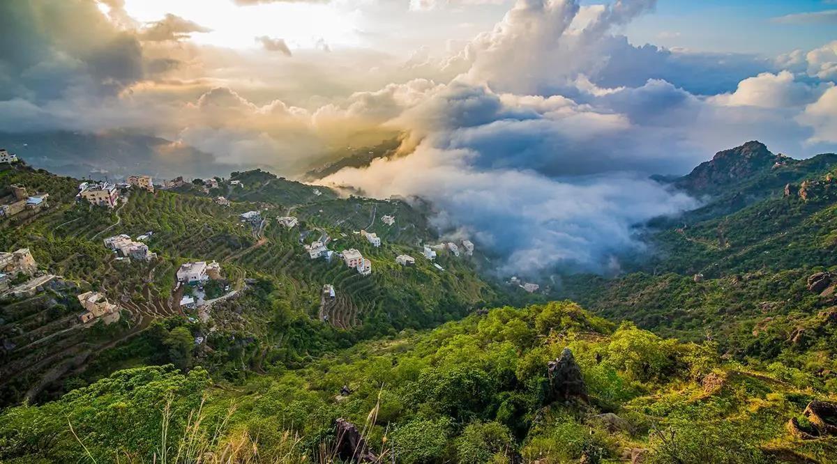 Lush green terraced slopes of the Fayfa Mountains in Jizan, Saudi Arabia