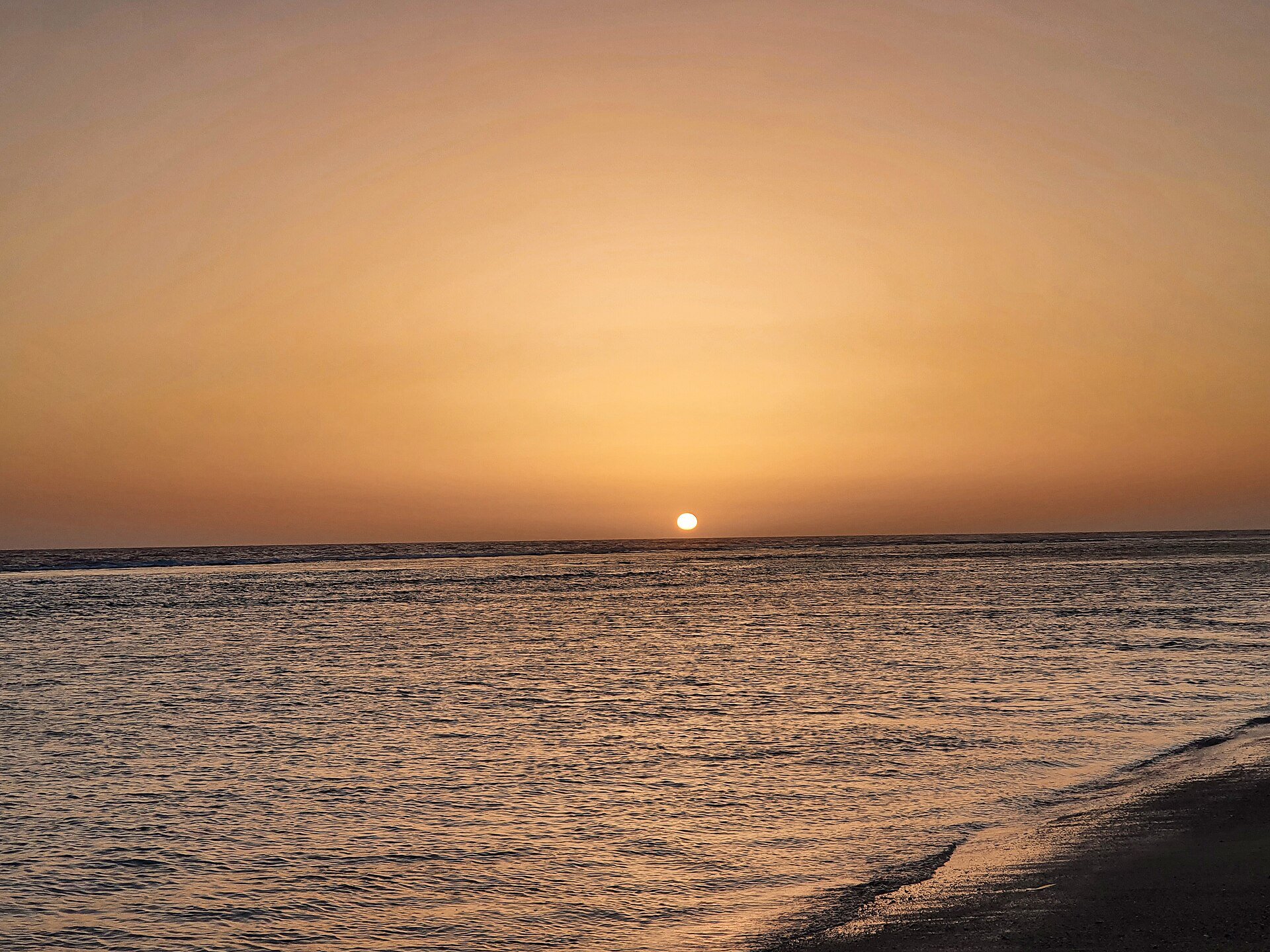 Fishing boats at Umluj marina at dawn, Red Sea coast, Saudi Arabia