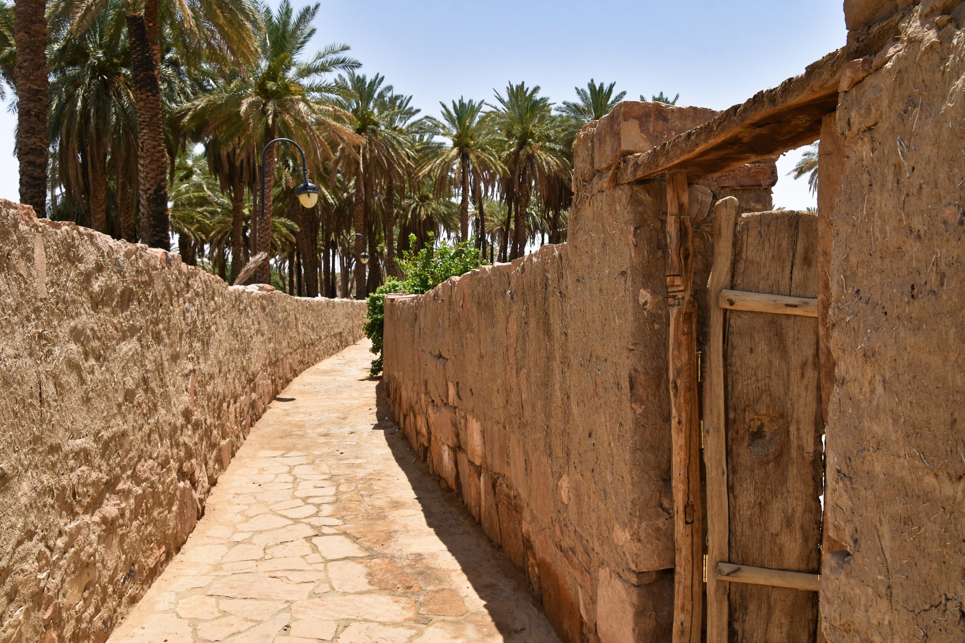 Narrow pathway through the old town of Tayma, Saudi Arabia, flanked by ancient mudbrick walls and palm trees