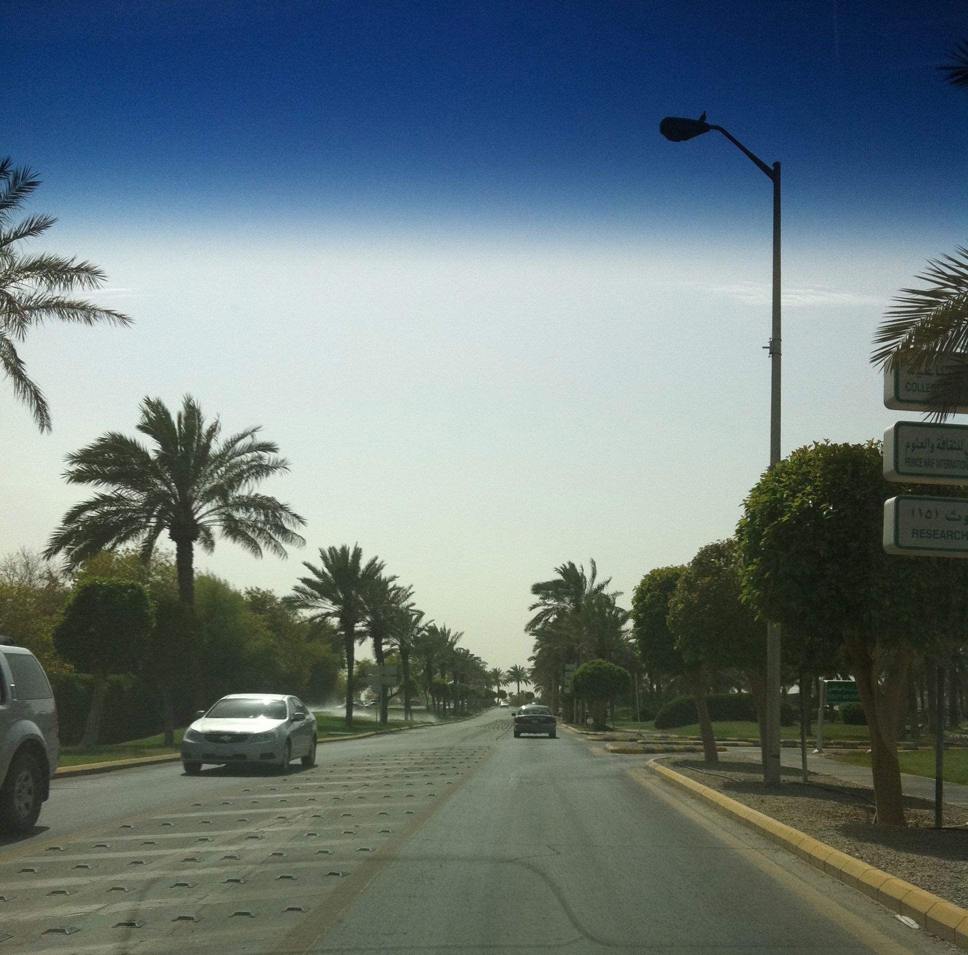 Palm-lined road through the KFUPM campus in Dhahran with directional signs