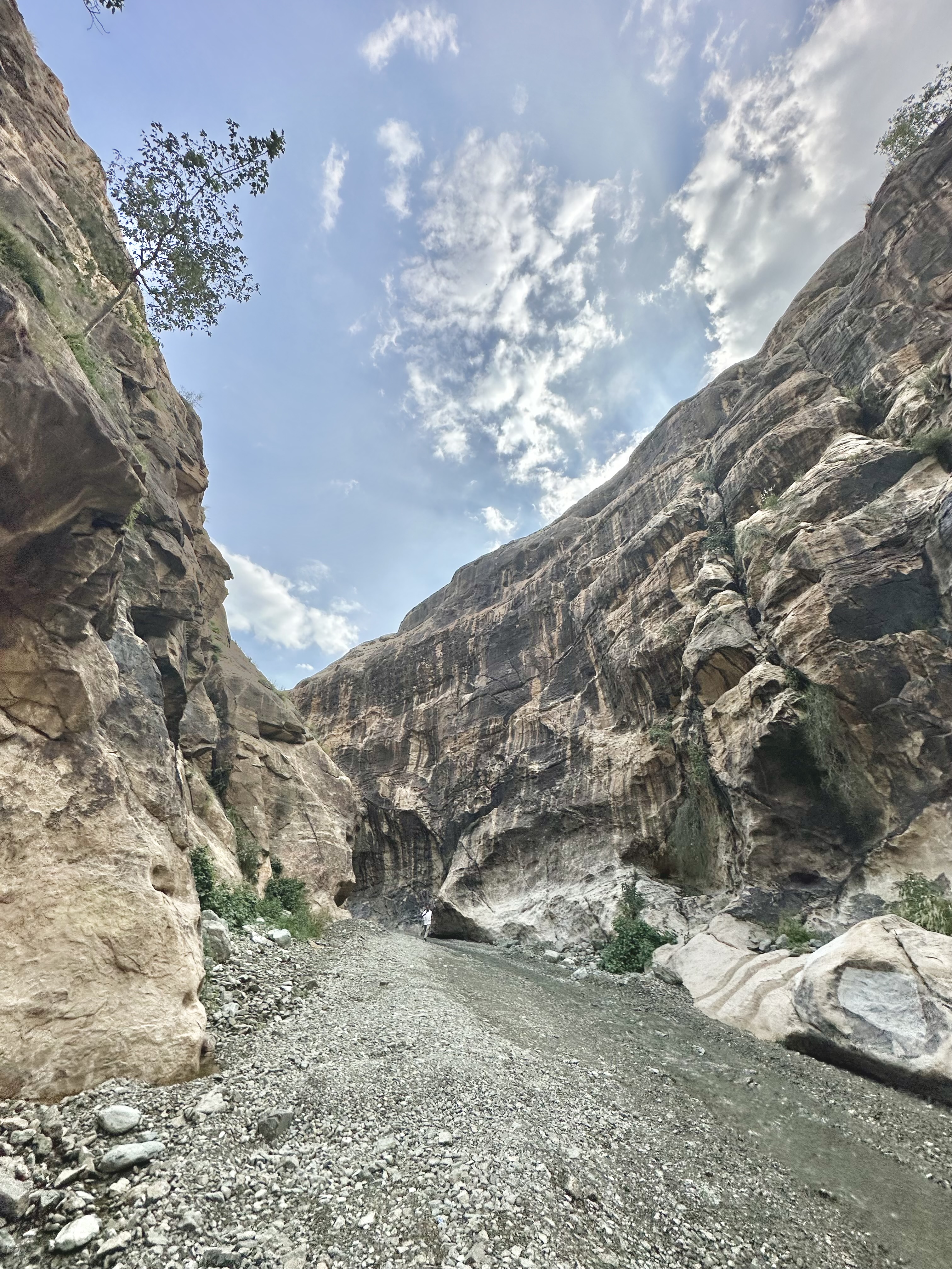 Wadi Lajab narrow canyon corridor with rocky streambed, Saudi Arabia