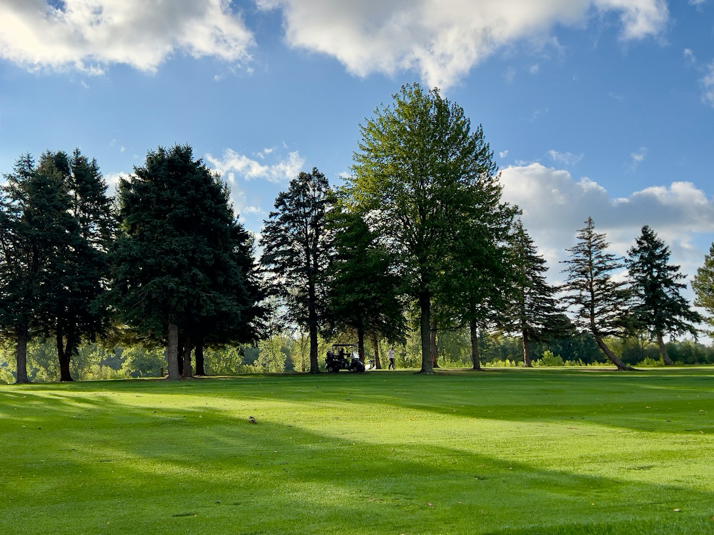 Golf course fairway lined with mature trees under a blue sky