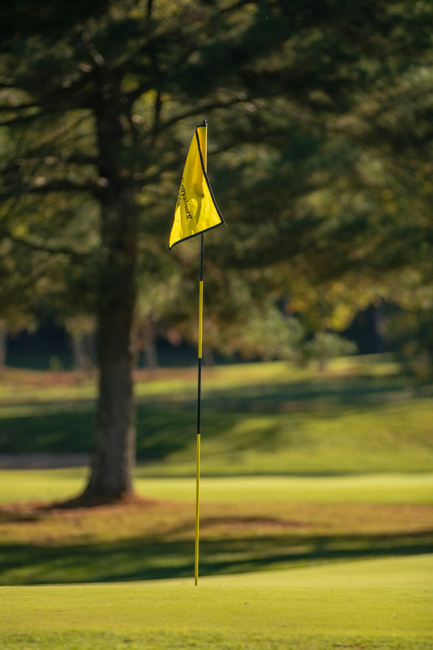 Yellow golf flag pin on a sunlit green with trees in background
