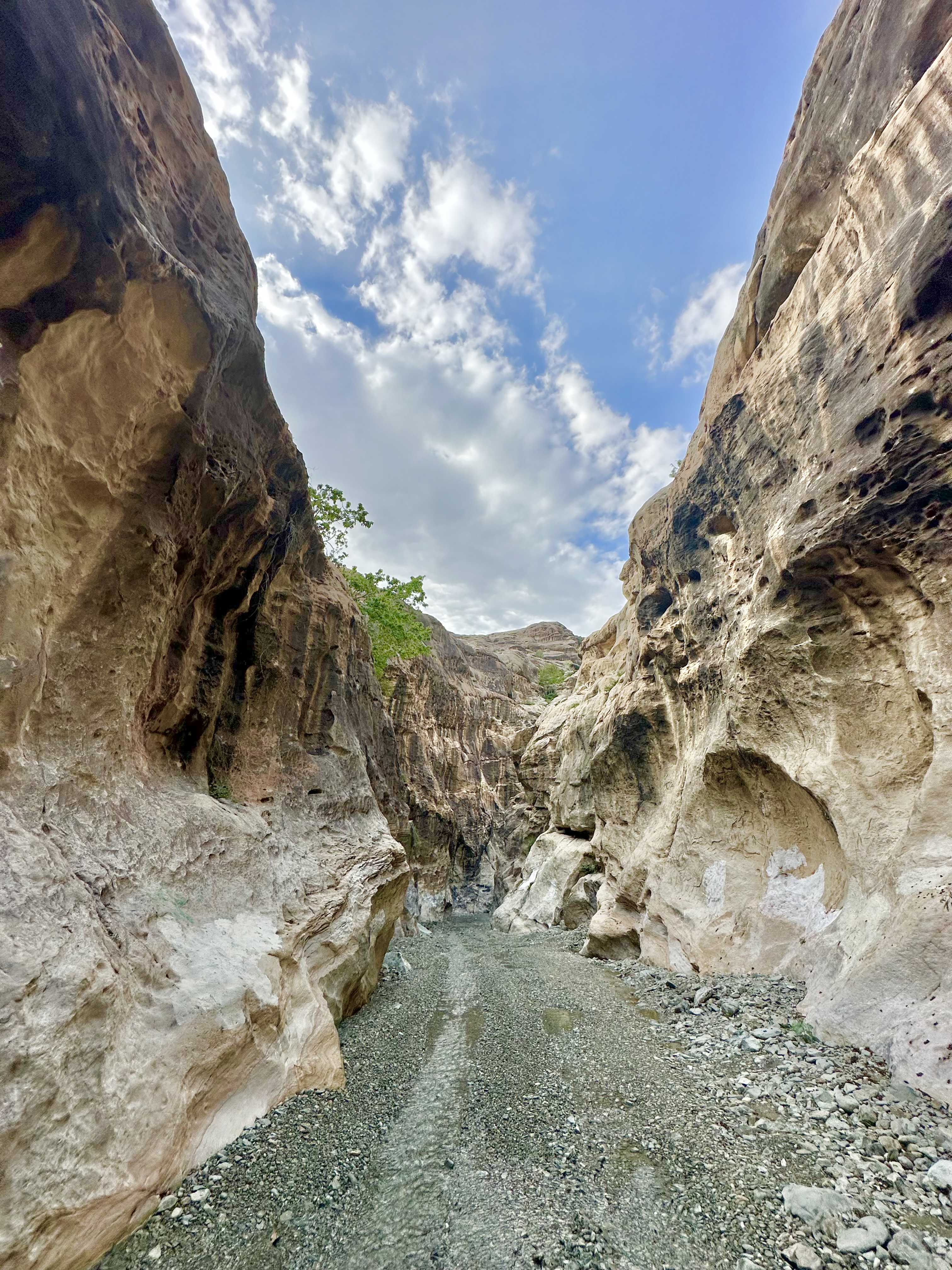 Wadi Lajab gorge narrow walls with eroded rock surfaces and sparse vegetation