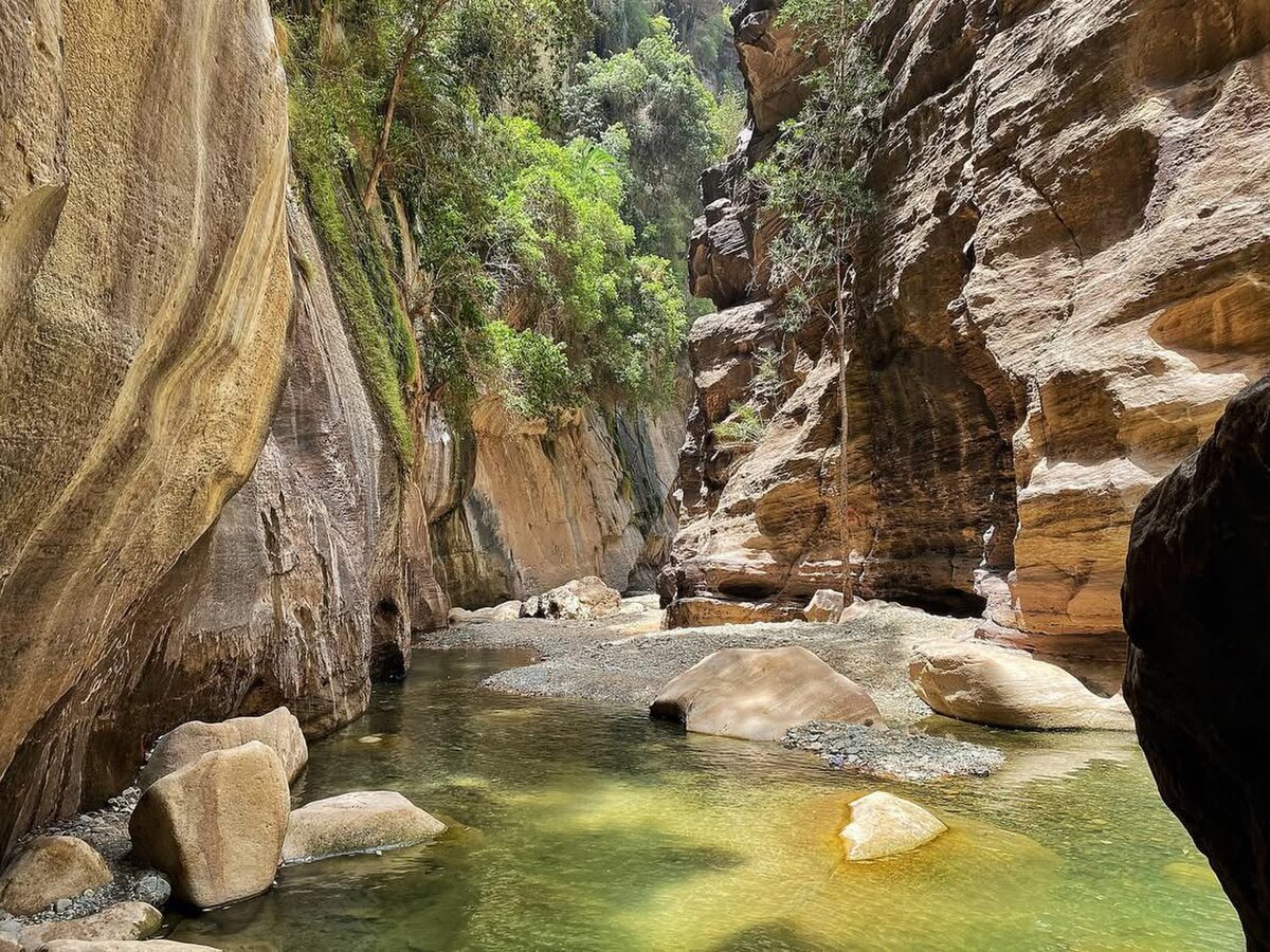 Green water flowing through Wadi Lajab narrow canyon with lush vegetation, Saudi Arabia