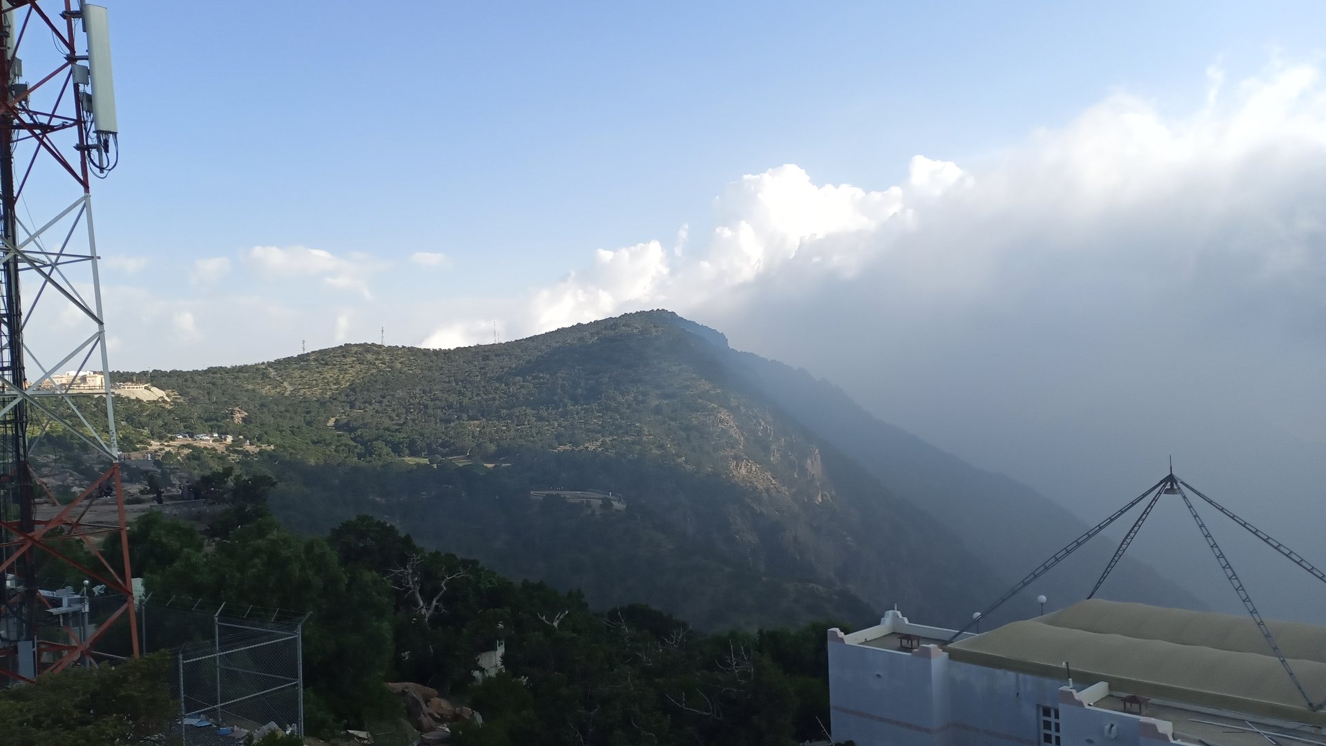 Green cloud-forest mountainside at Al Soudah in the Asir highlands of Saudi Arabia