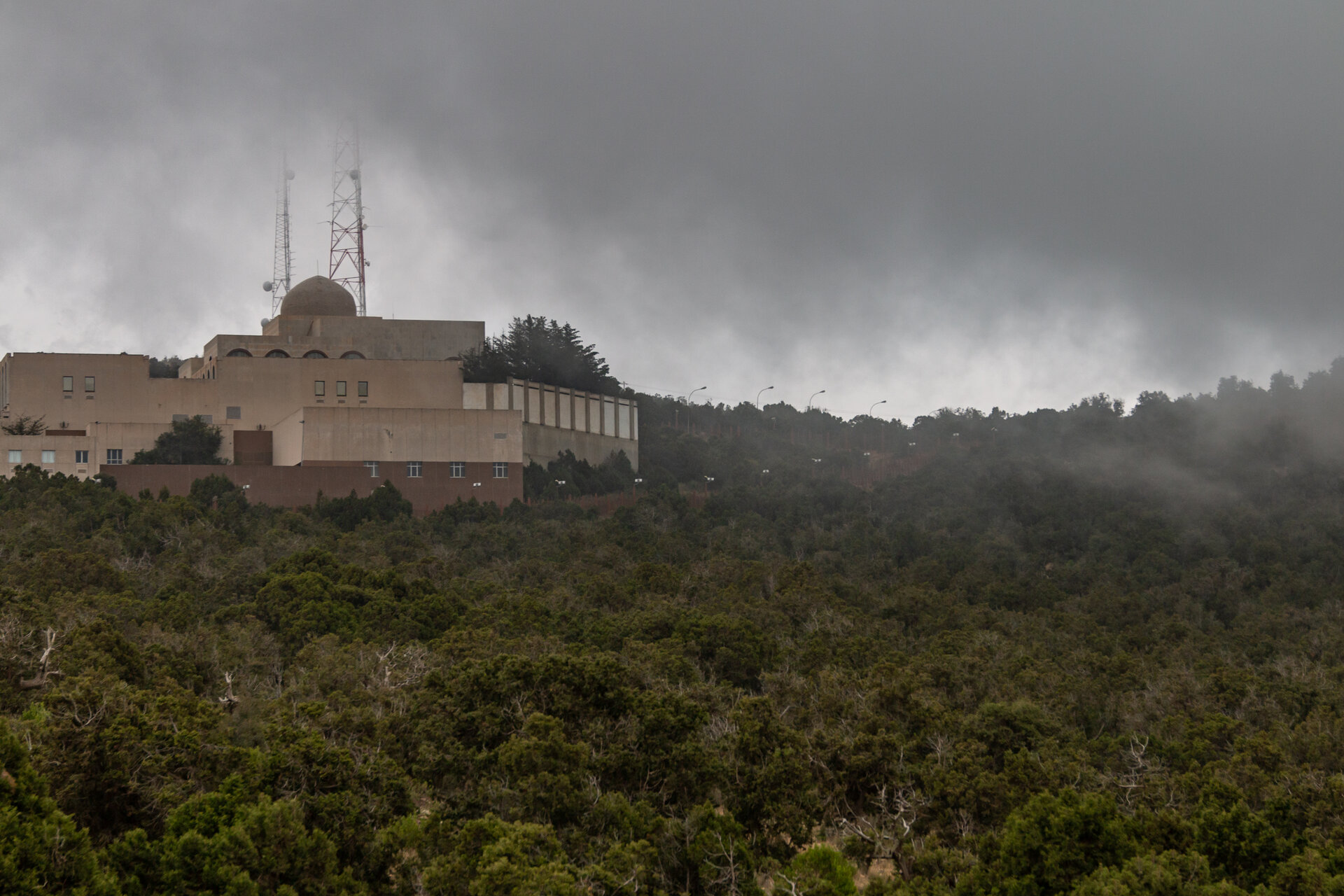 Jebel Sawda summit area shrouded in cloud with dense juniper forest below